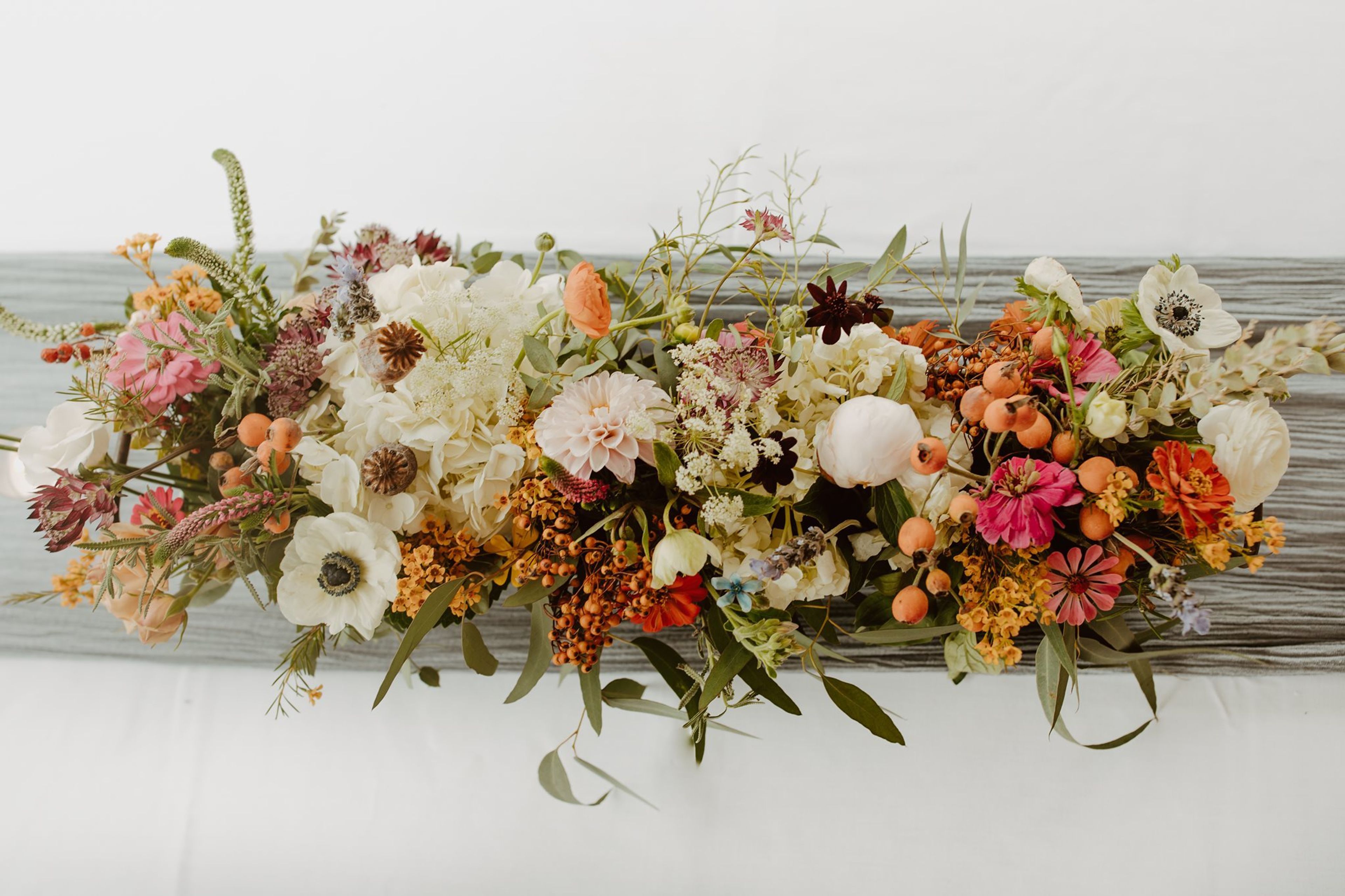 Cover photo of Black-Eyed Susan Flowers