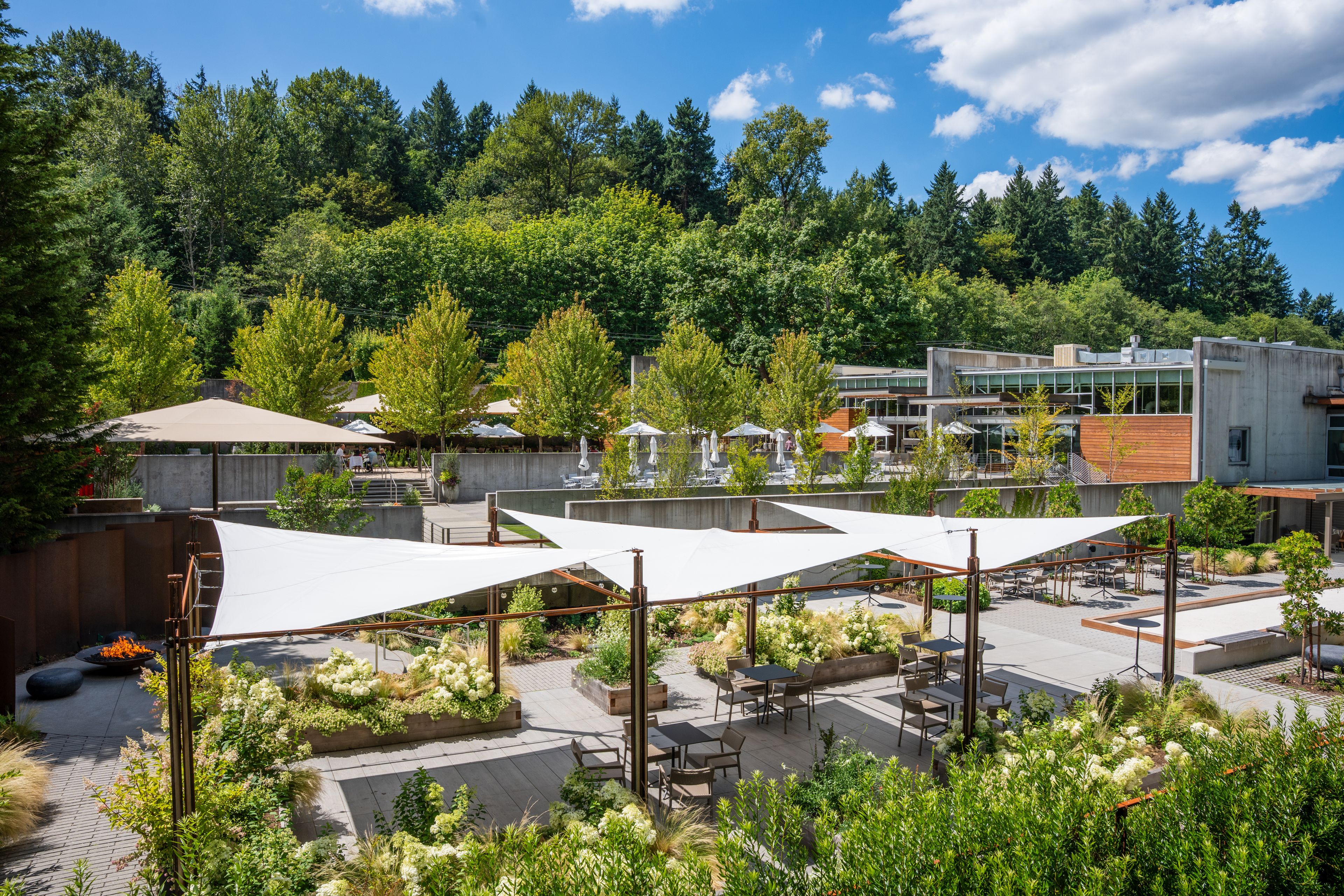 Featured photo from Novelty Hill - Januik Winery