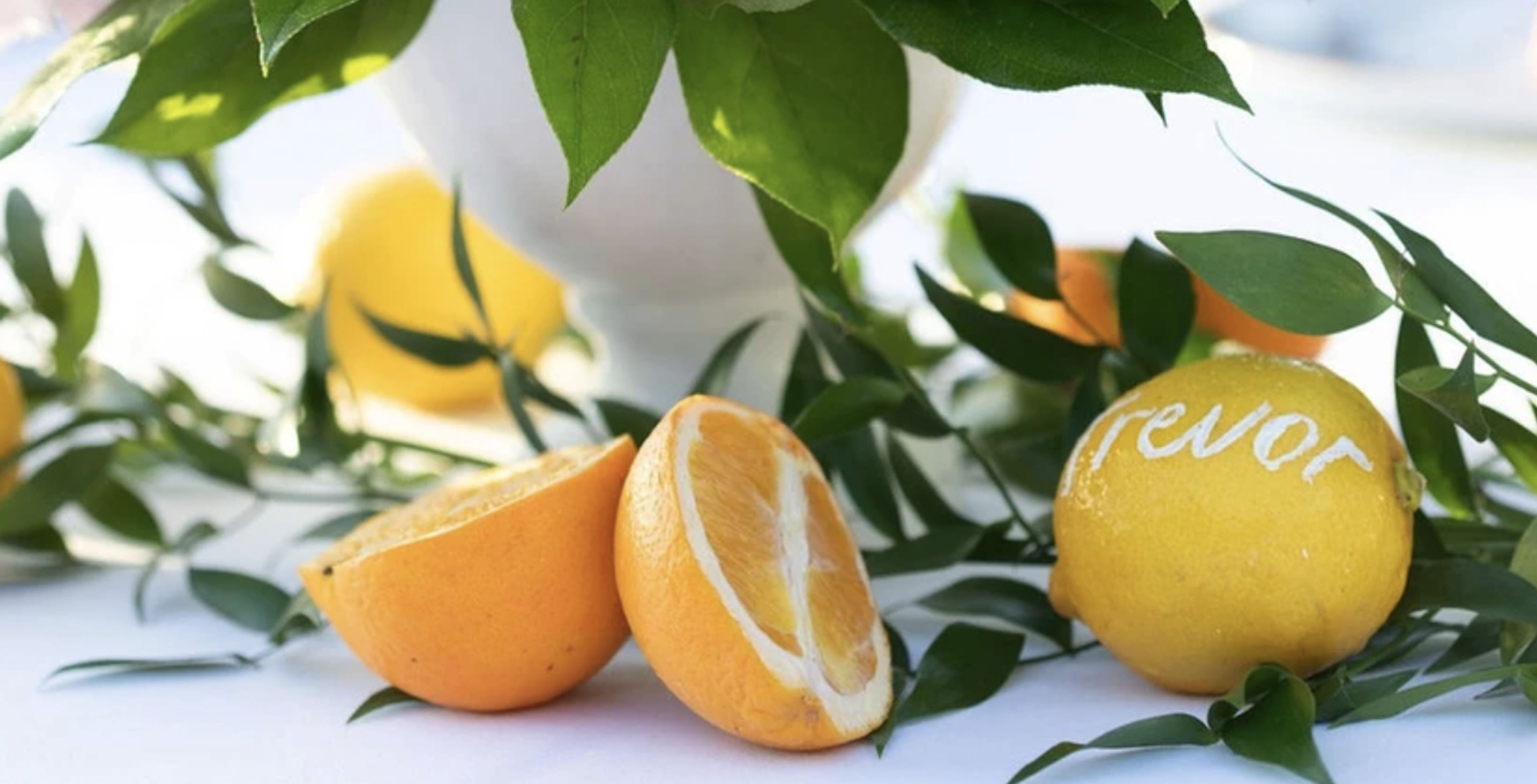 Cover photo of Calligraphy by Ally