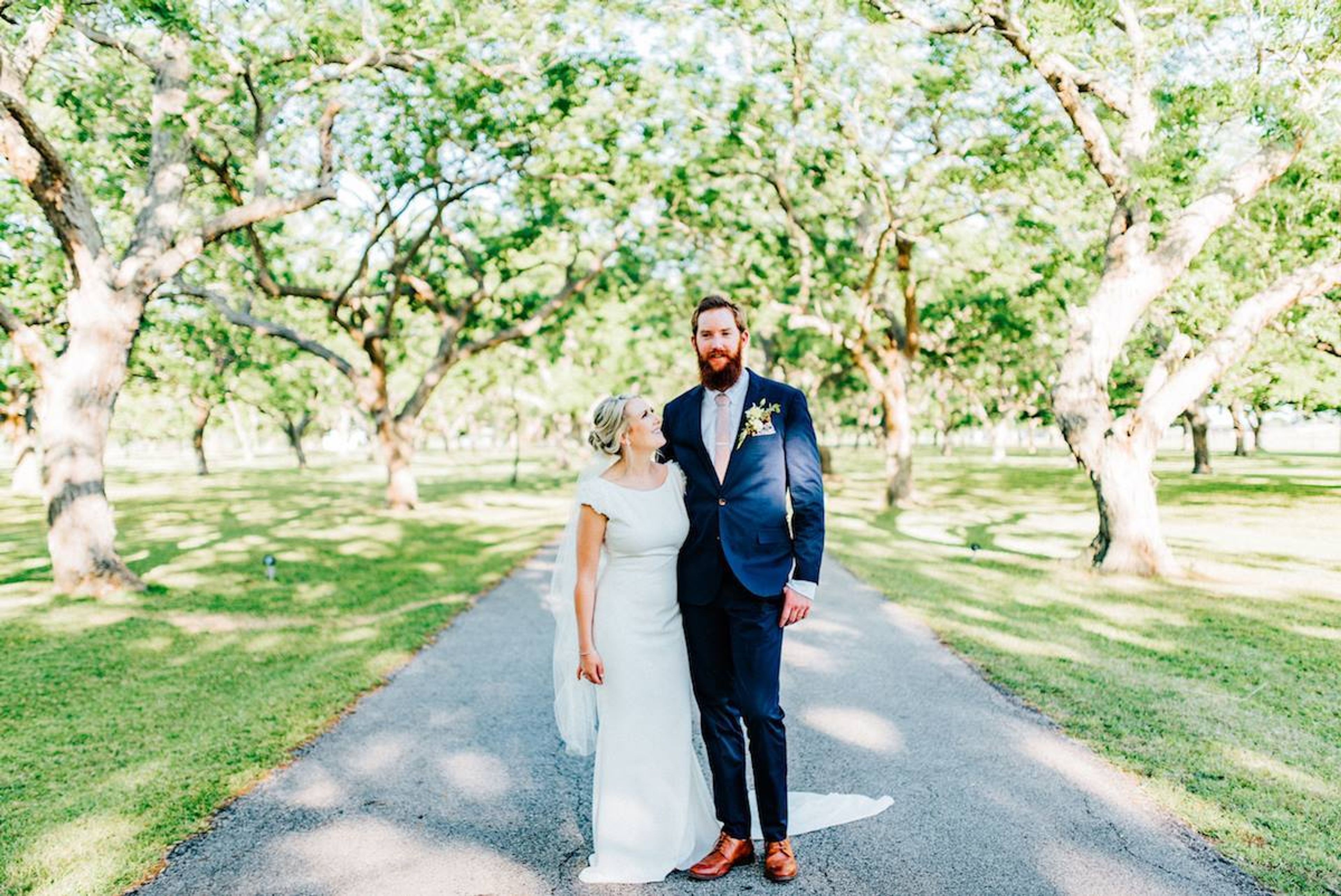 Cover photo of The Orchard at Caney Creek