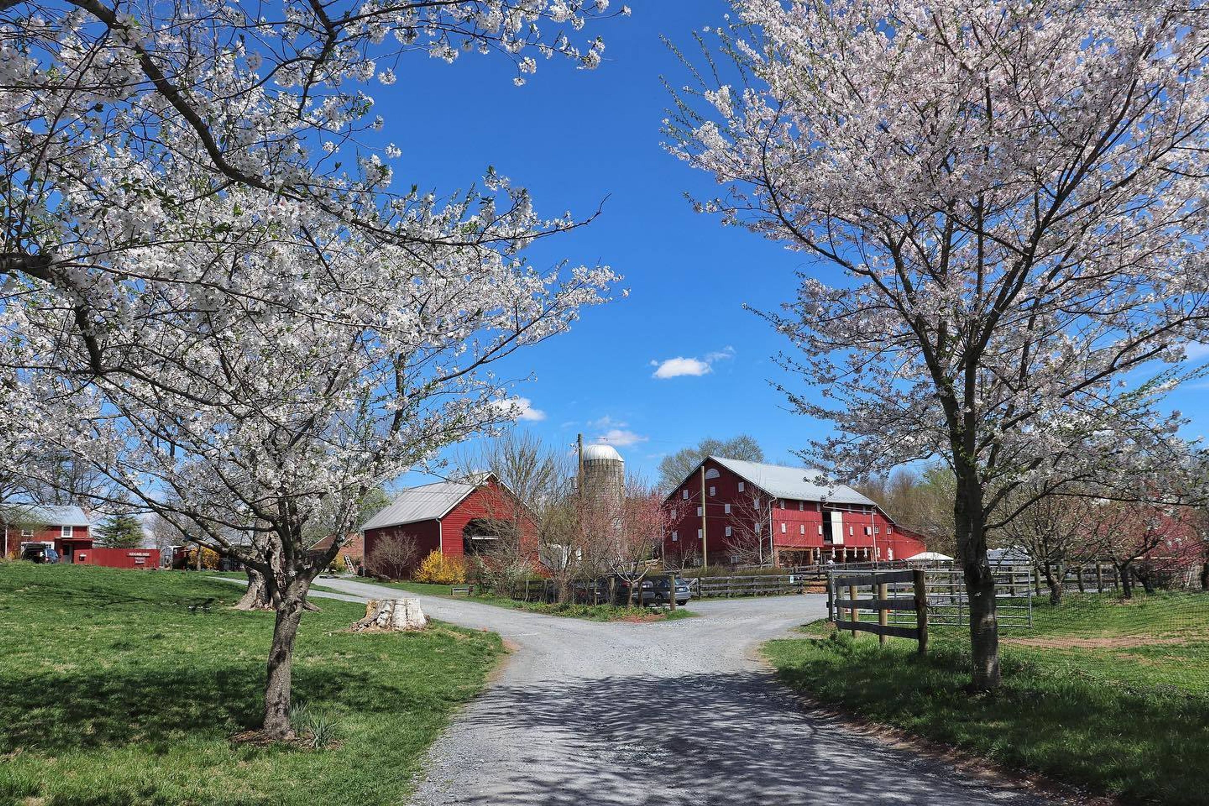 Cover photo of Rocklands Farm Winery
