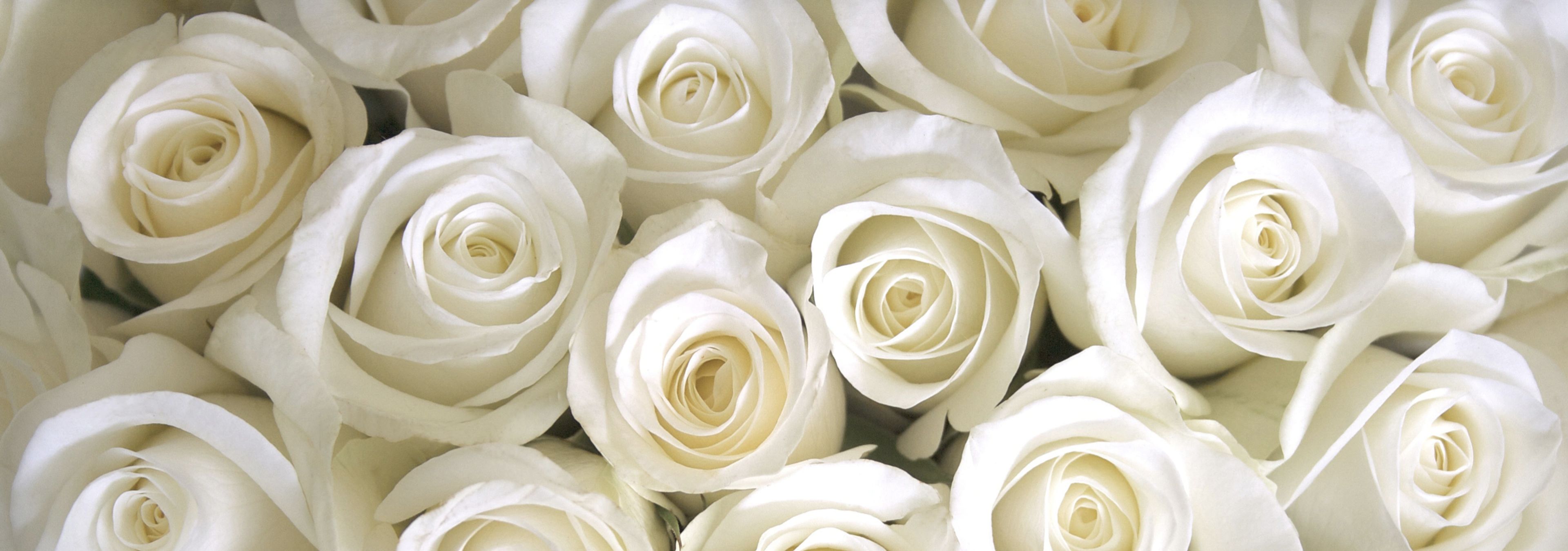 Cover photo of AC Hotel Bethesda Downtown