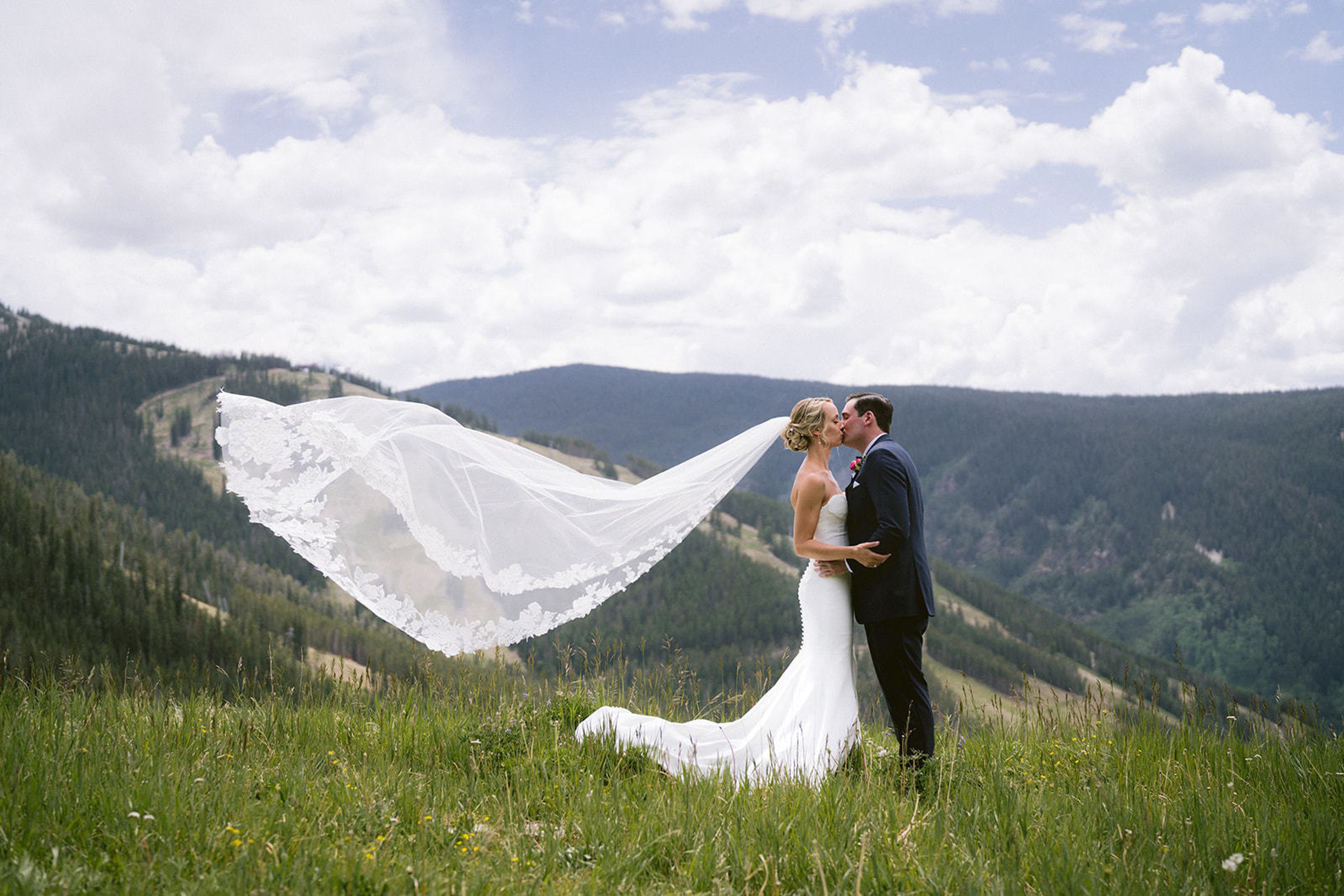 Cover photo of Stargazed Weddings and Events