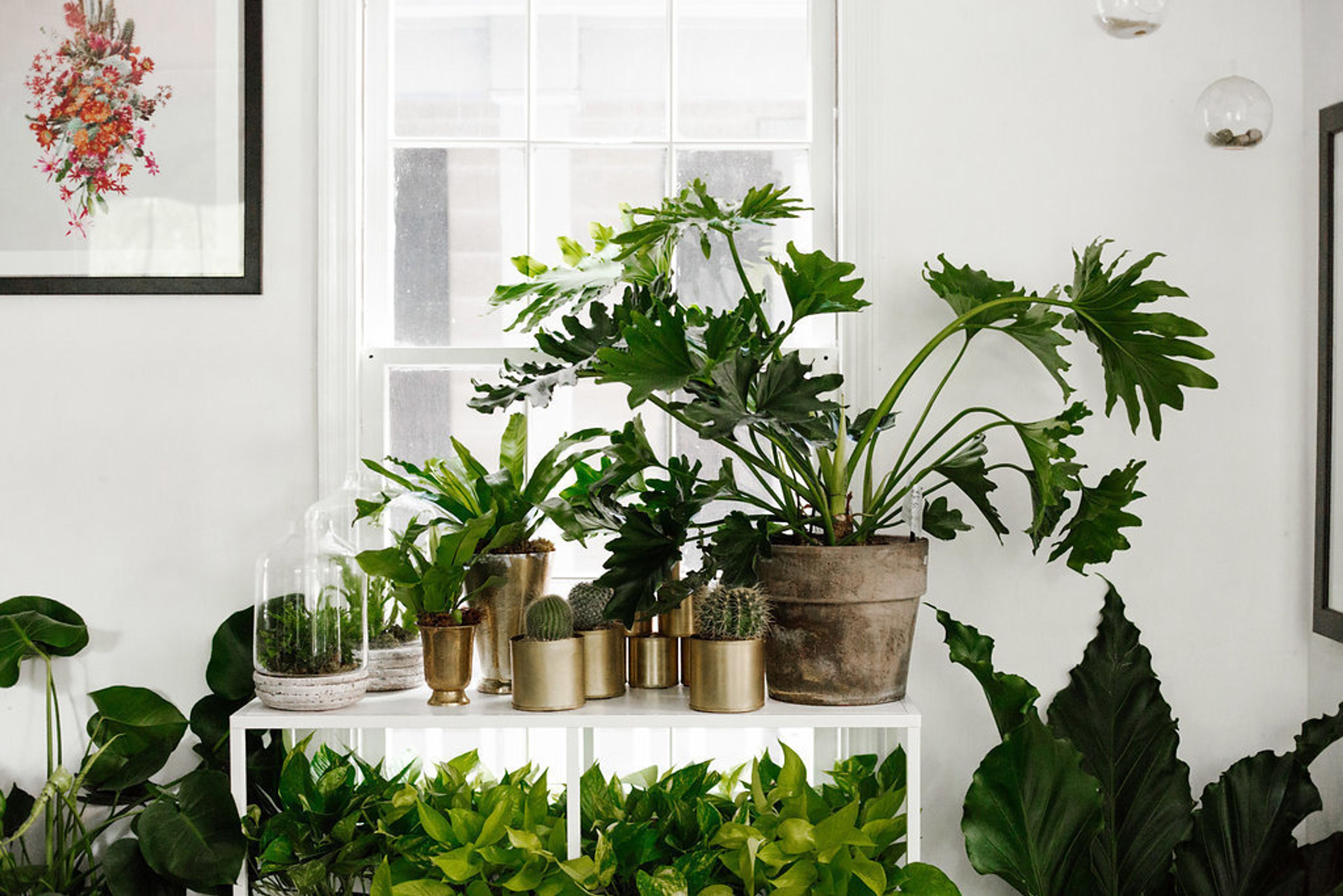 Cover photo of Sara York Grimshaw Designs