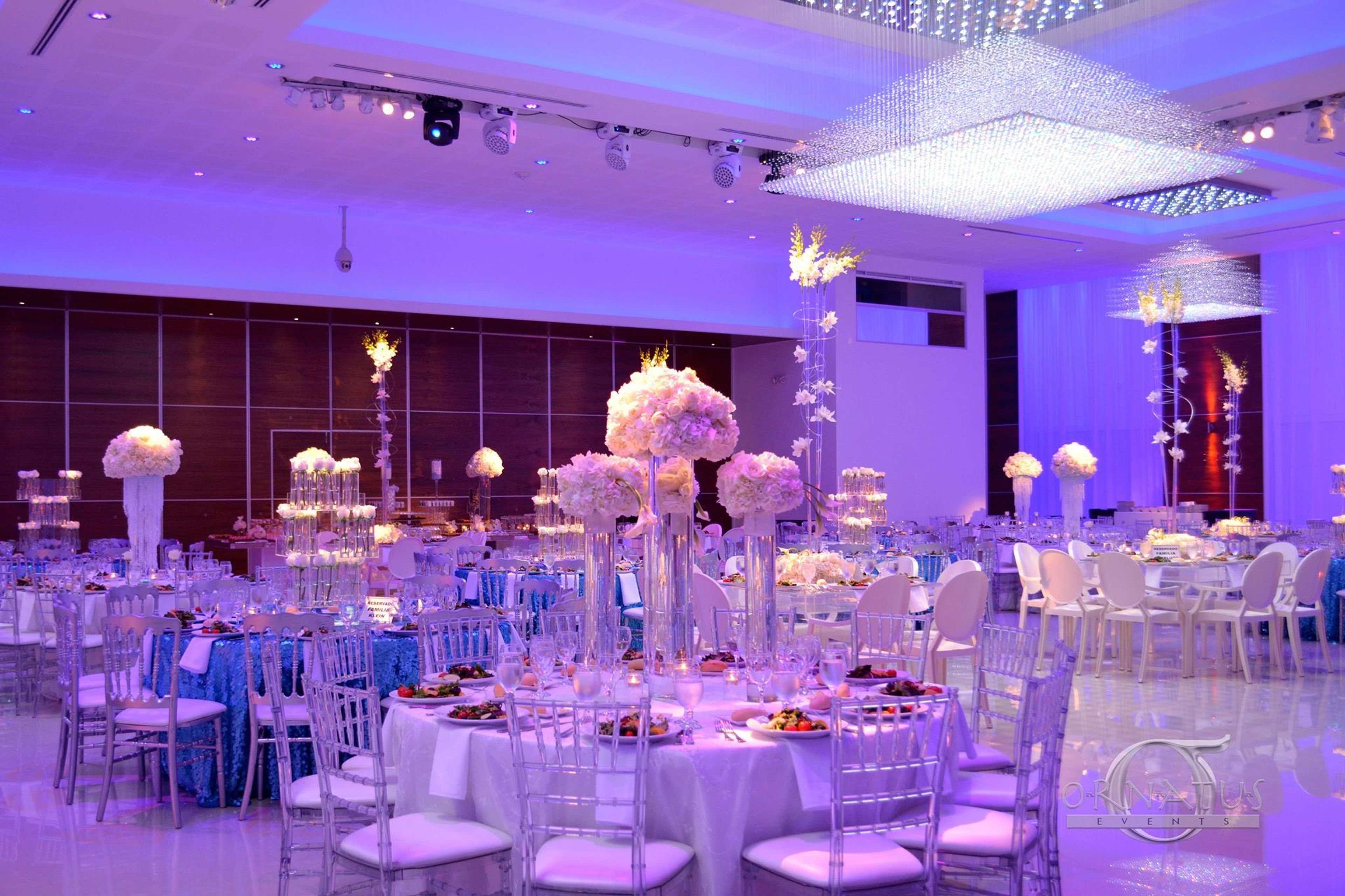 Cover photo of Temple Moses | Moses Events