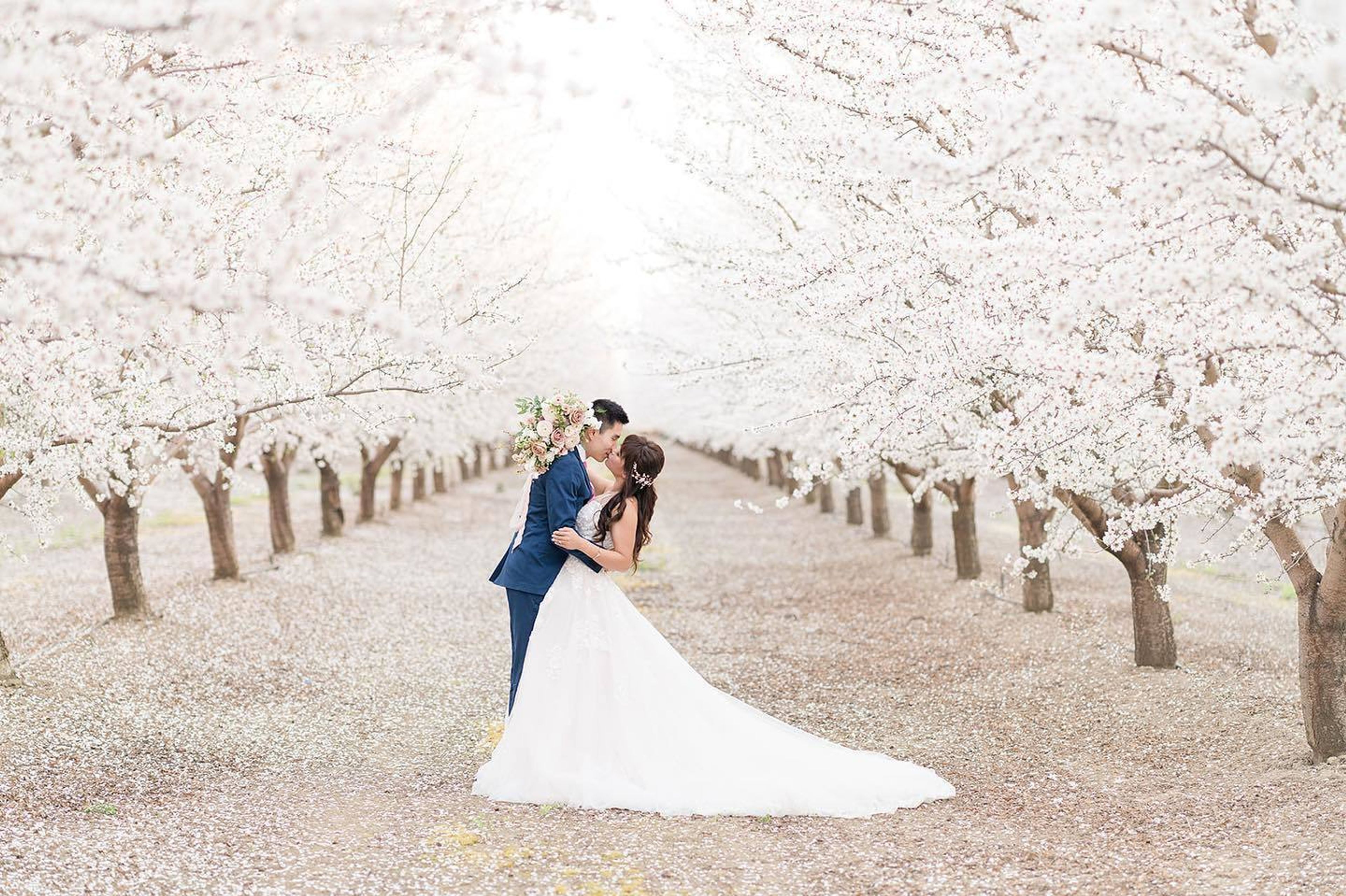 Cover photo of Luisa’s Secret