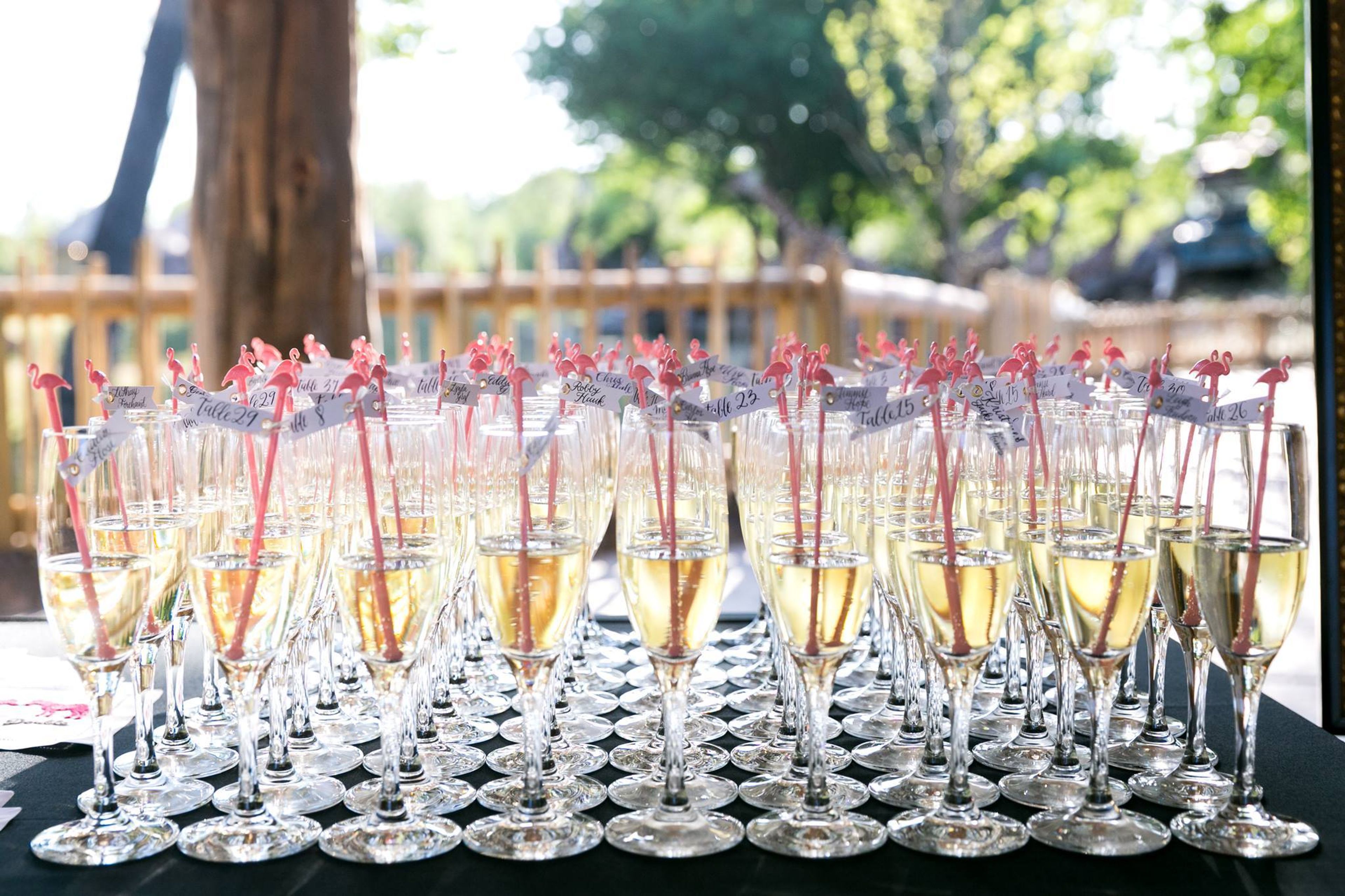 Cover photo of Ragan Hope Calligraphy