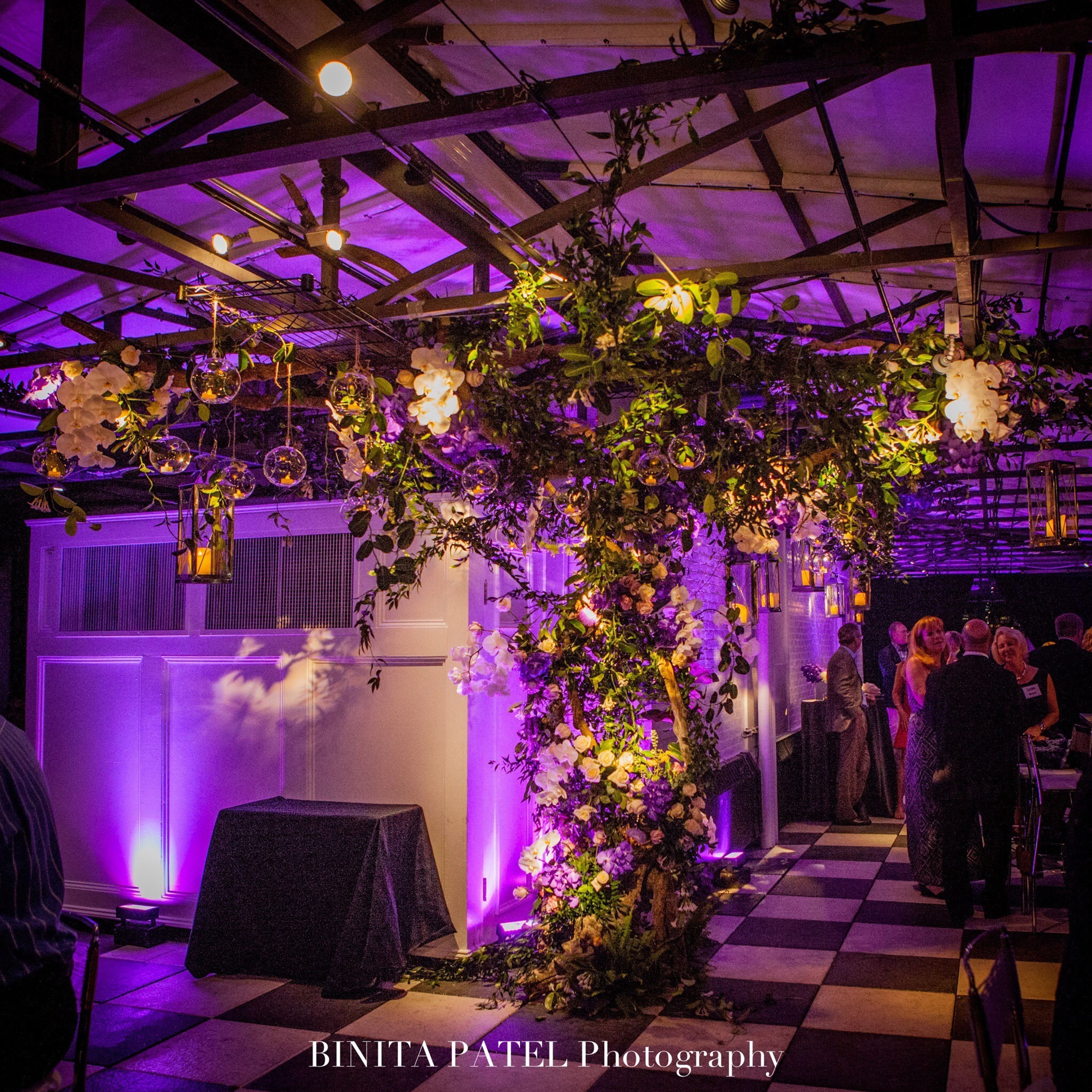 Cover photo of JNG Event Consulting