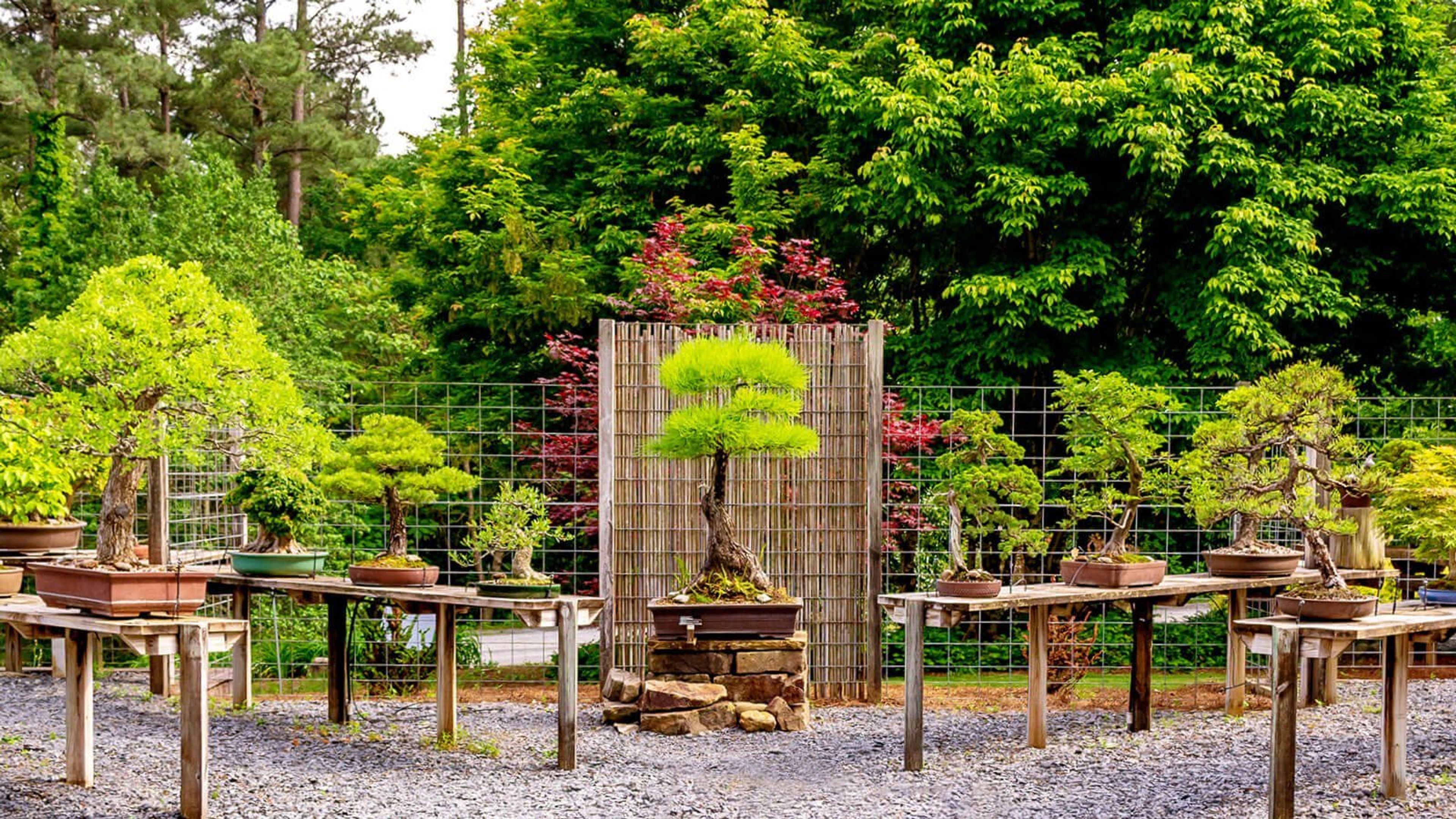 Cover photo of Smith Gilbert Gardens