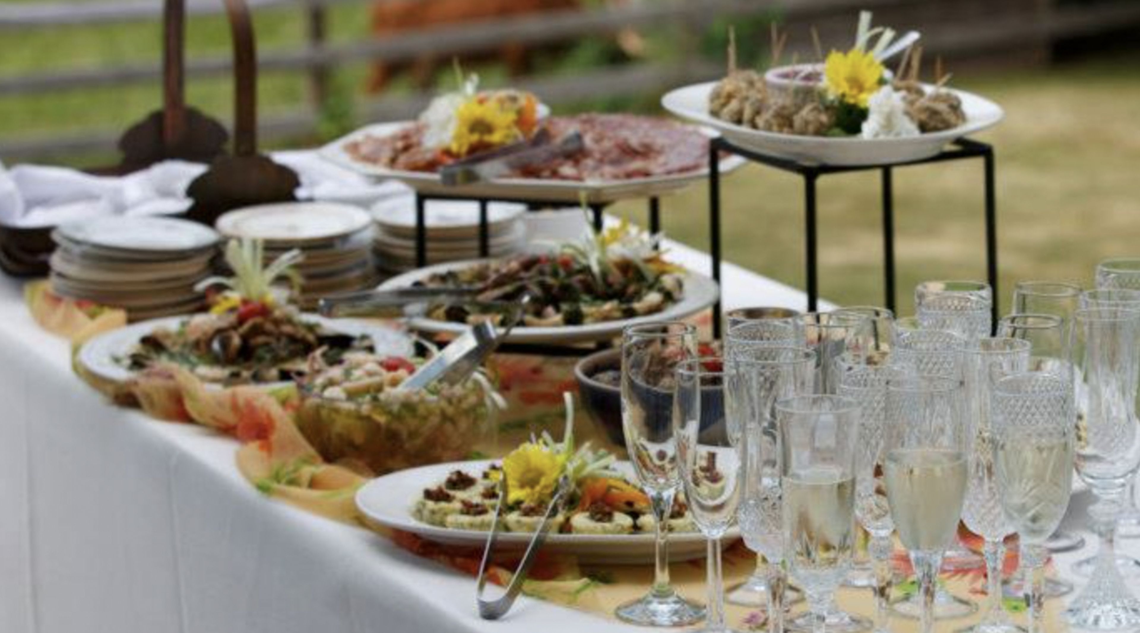 Cover photo of Kangaroo Kitchen