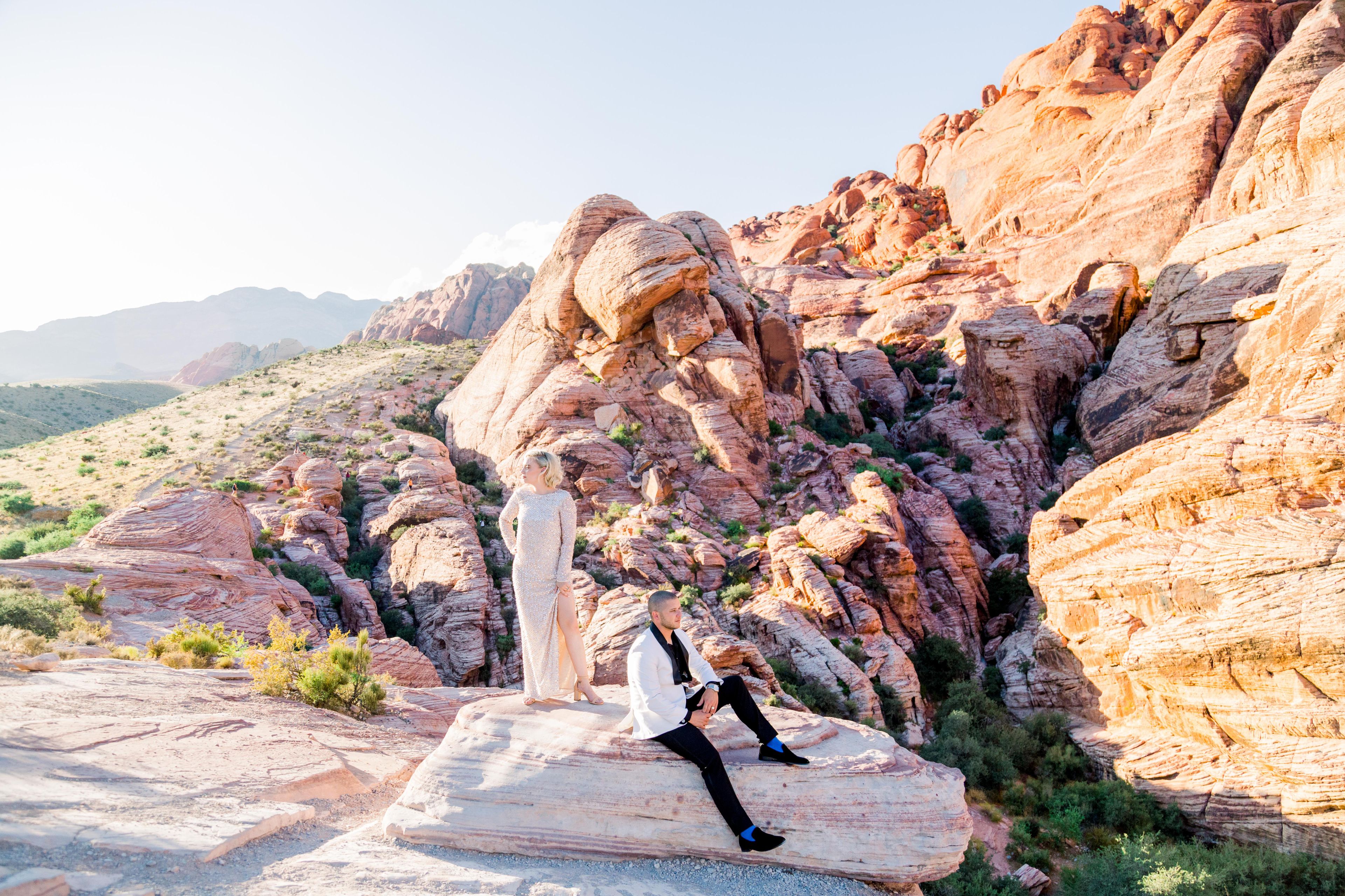 Cover photo of Molly + Co Photography