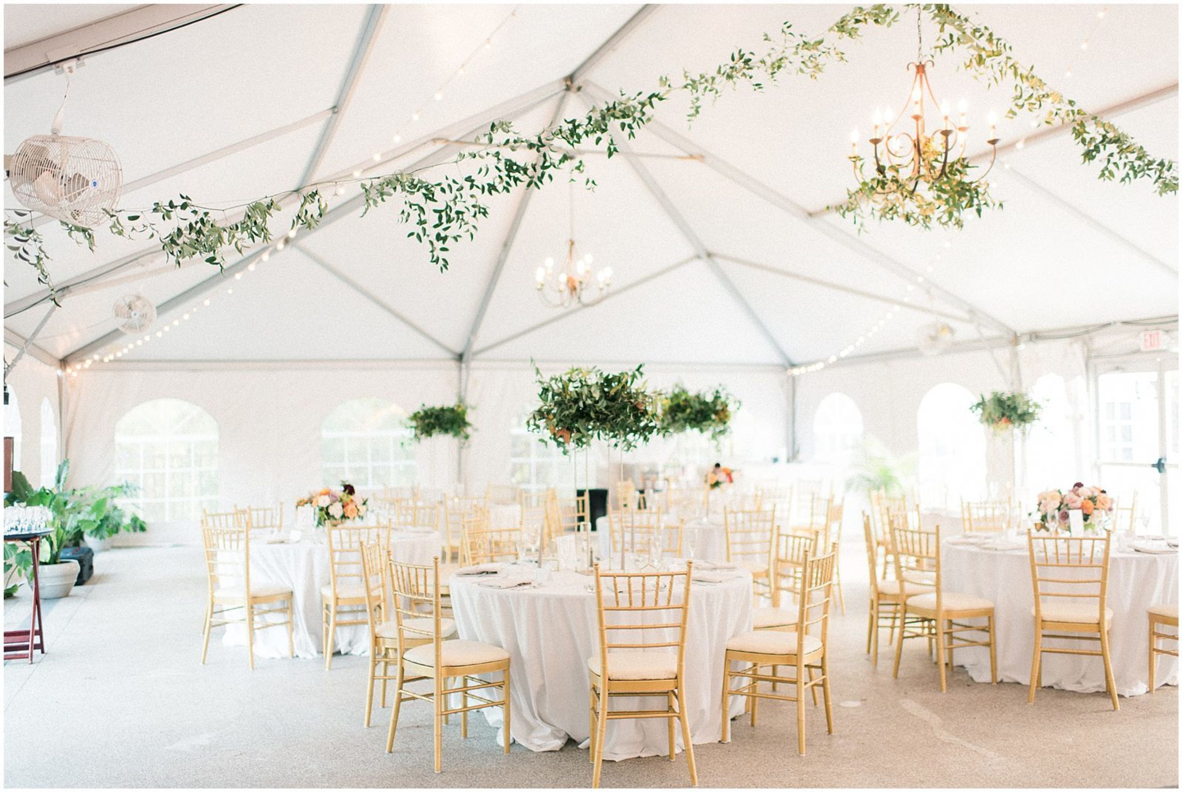 Cover photo of Rust Manor House