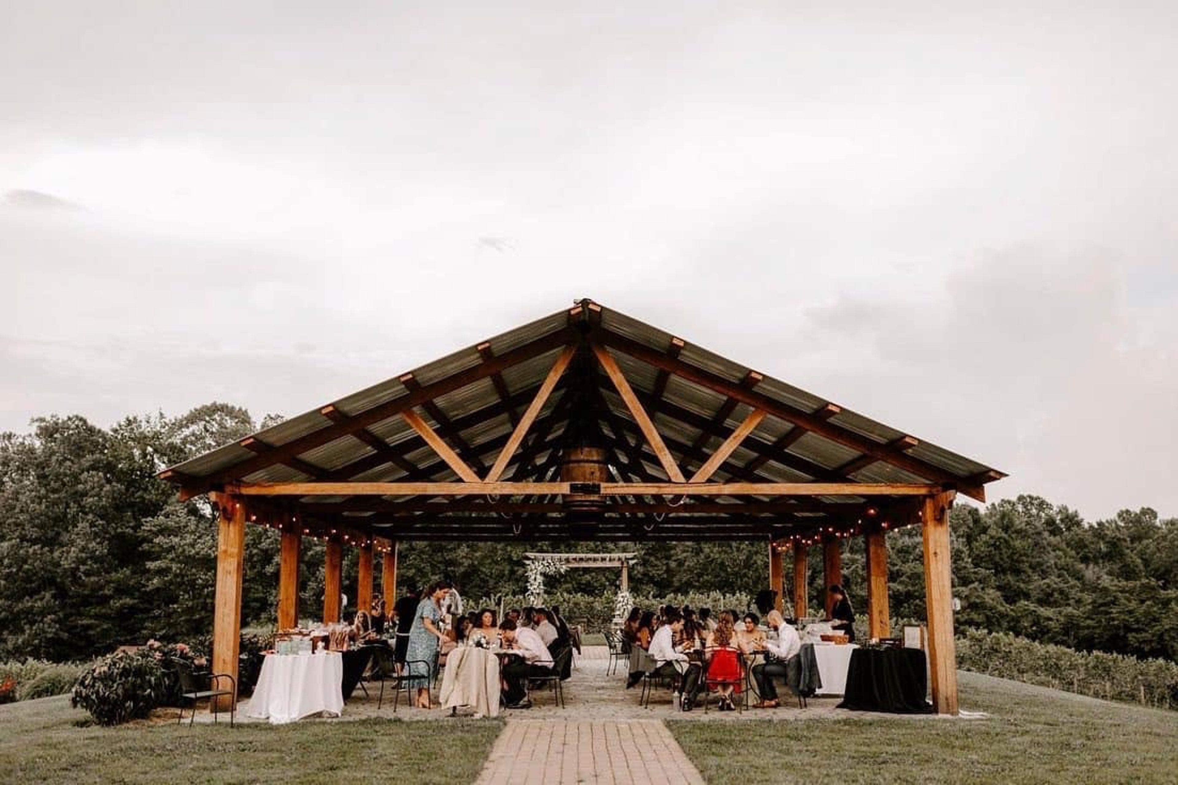 Featured photo from Running Hare Vineyard
