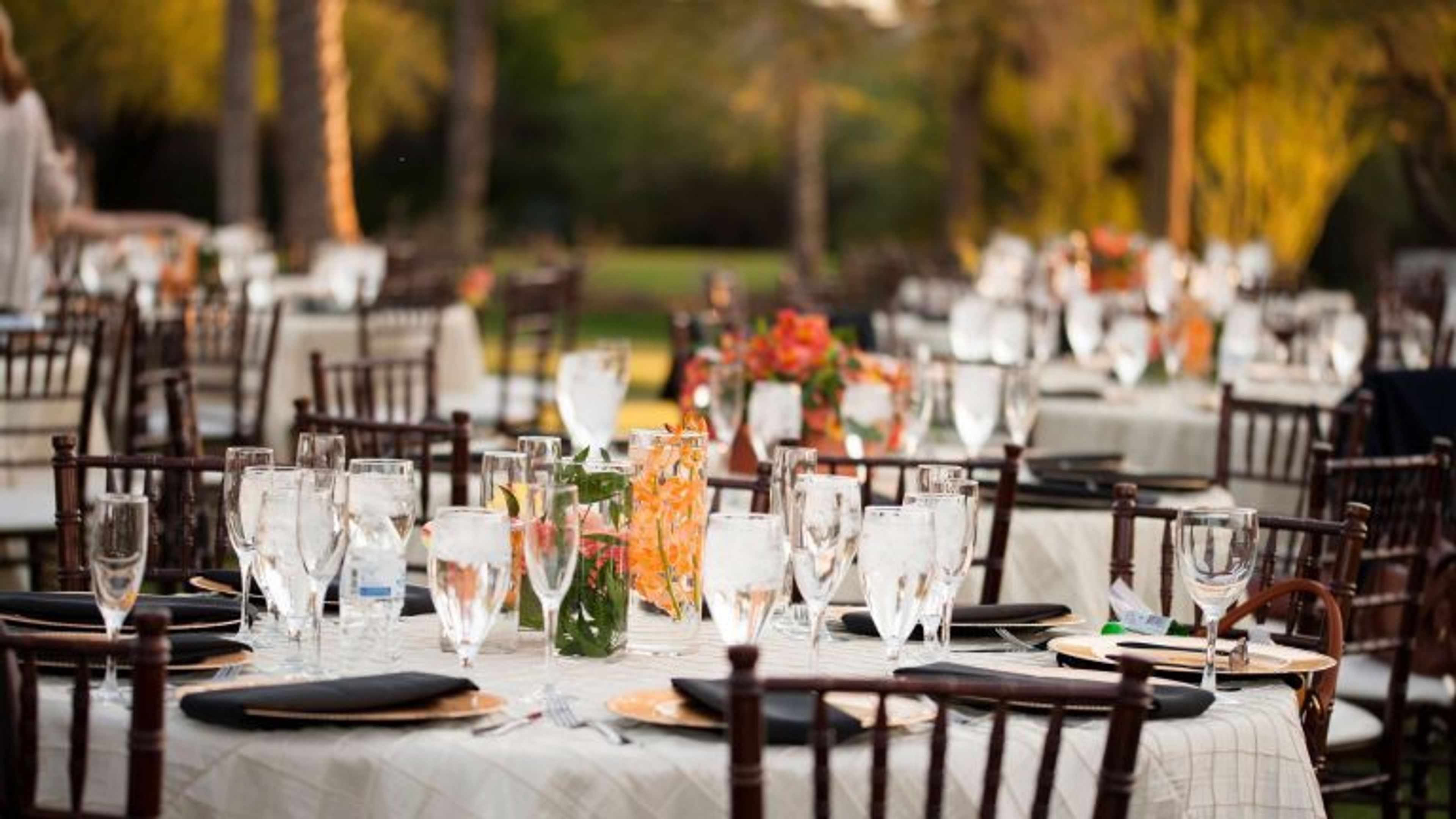 Cover photo of Tonto Weddings