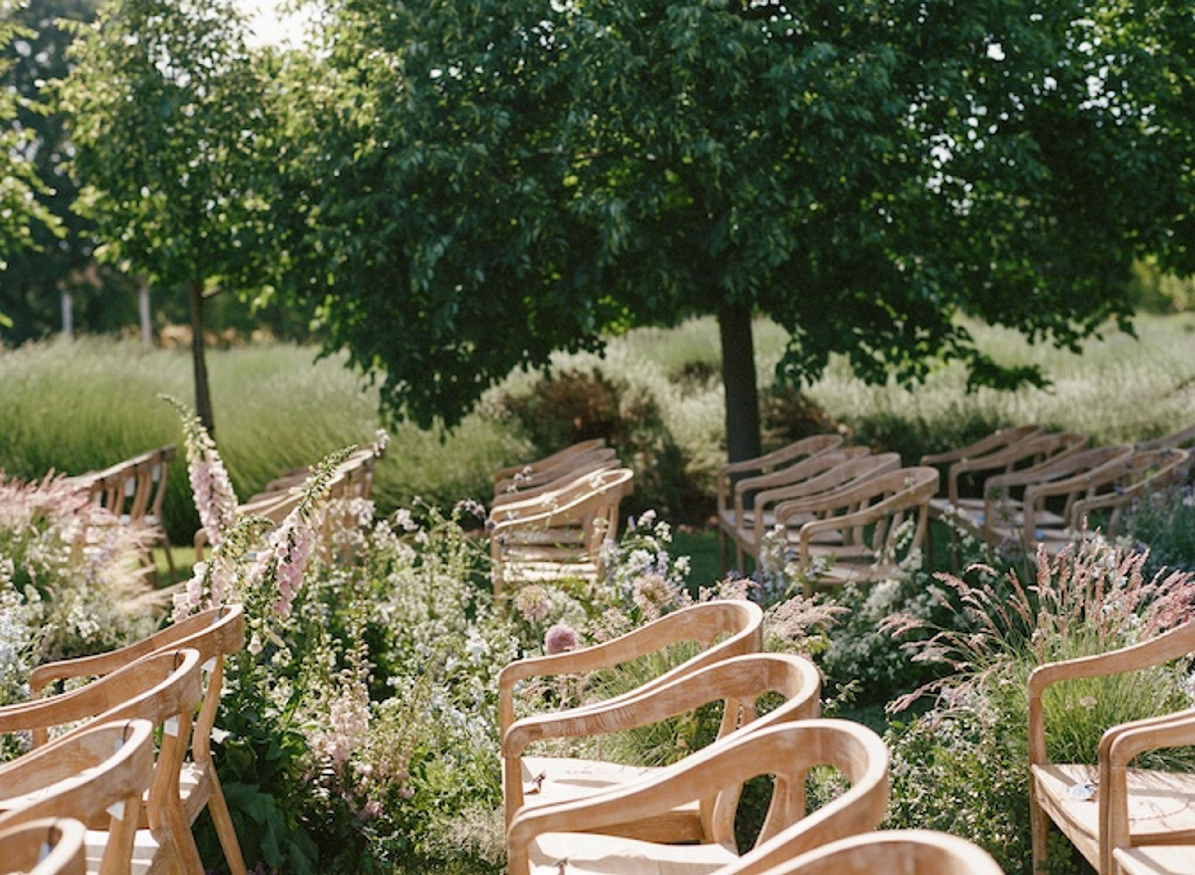 Cover photo of Vanessa Pence Events