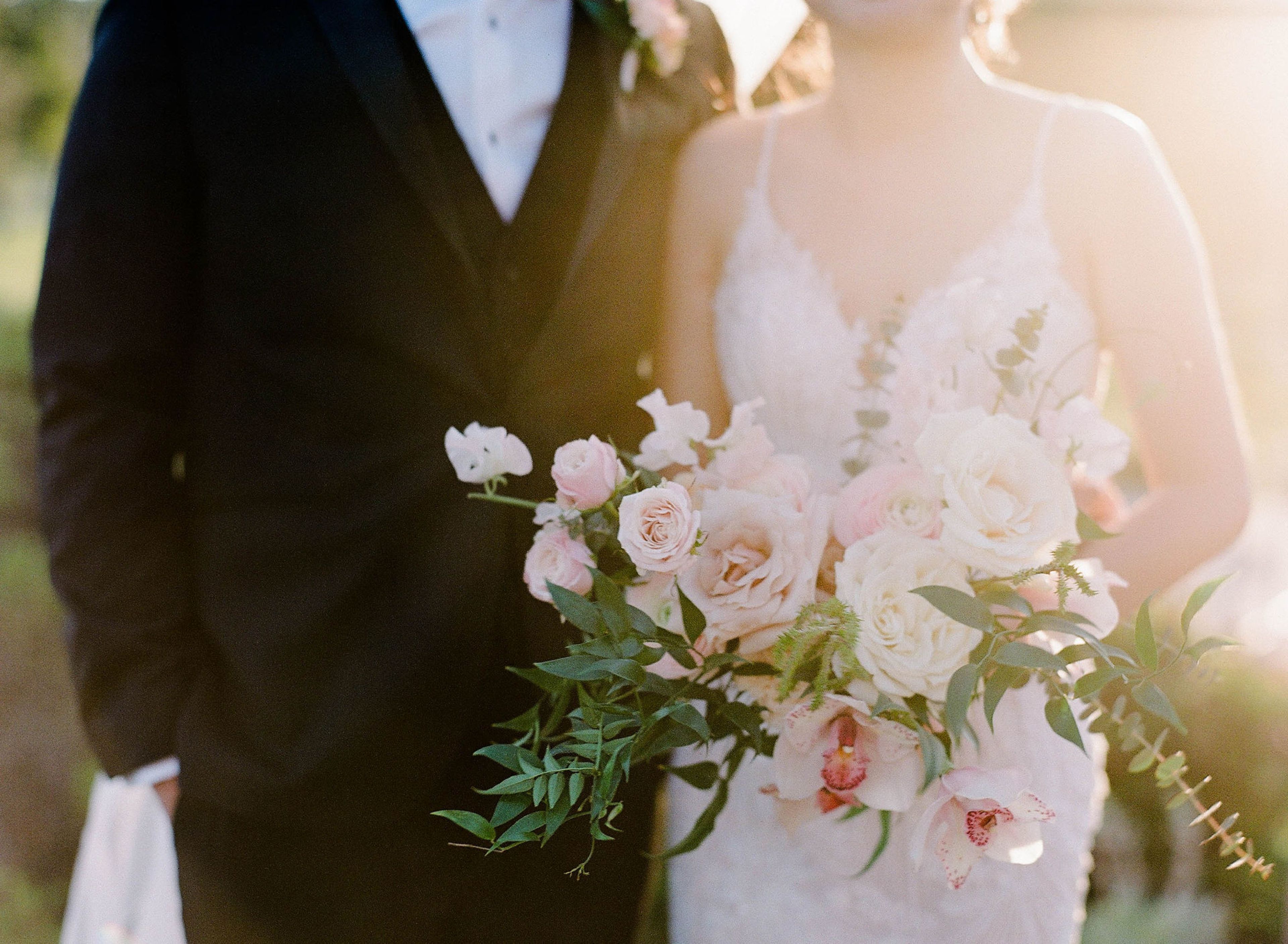 Cover photo of Laurel and Vine