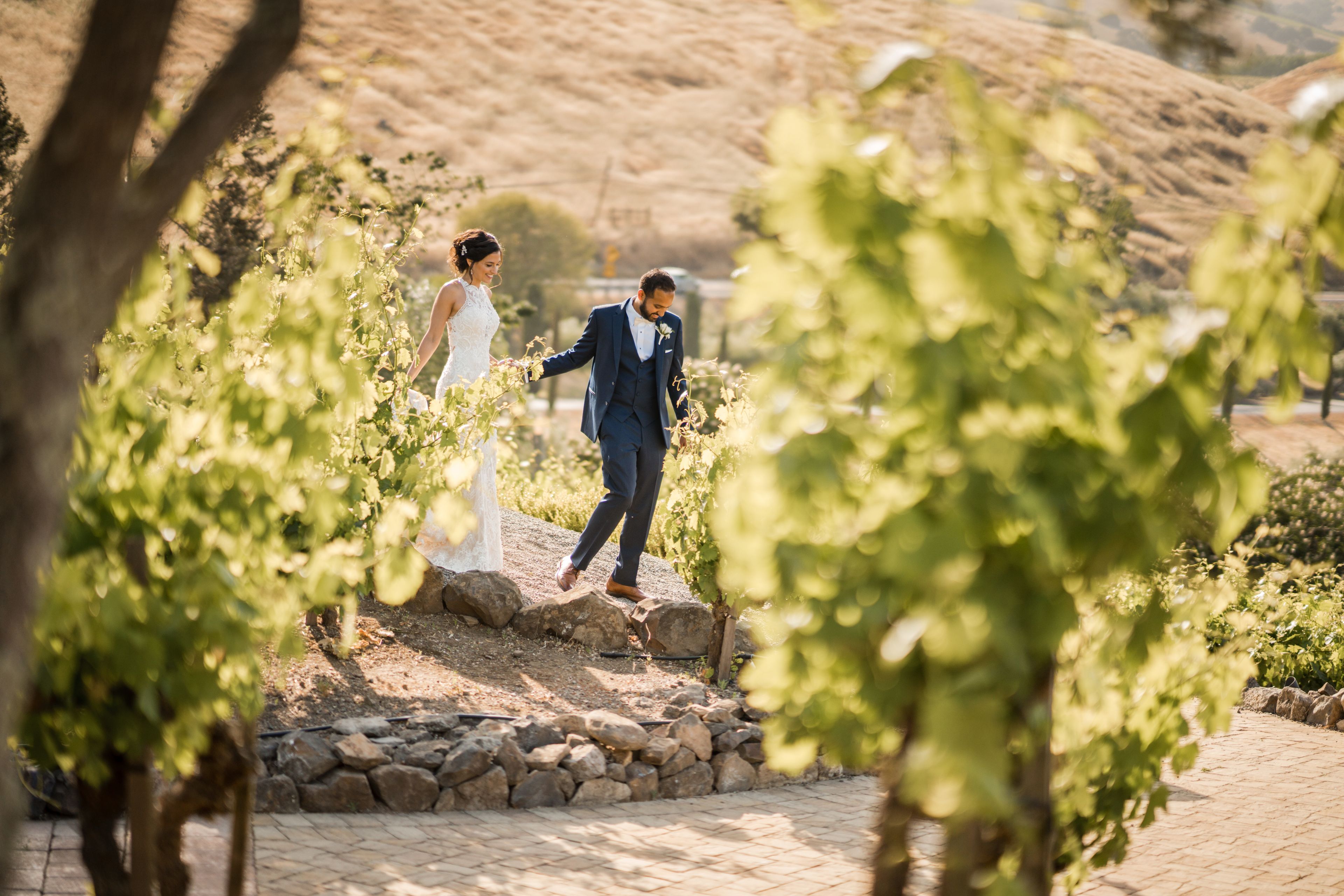 Cover photo of Lily Rose Photography