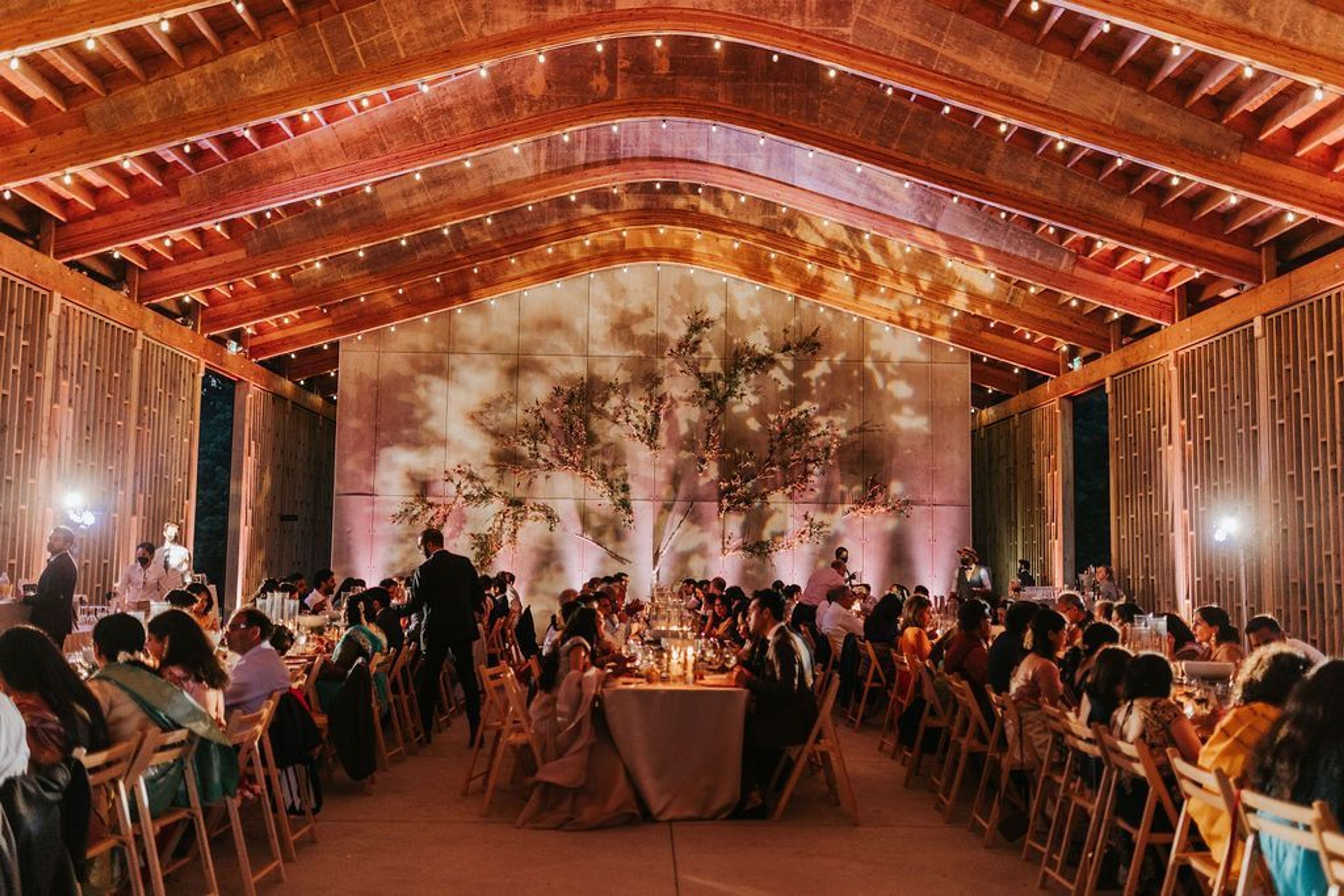 Cover photo of DiCicco Design