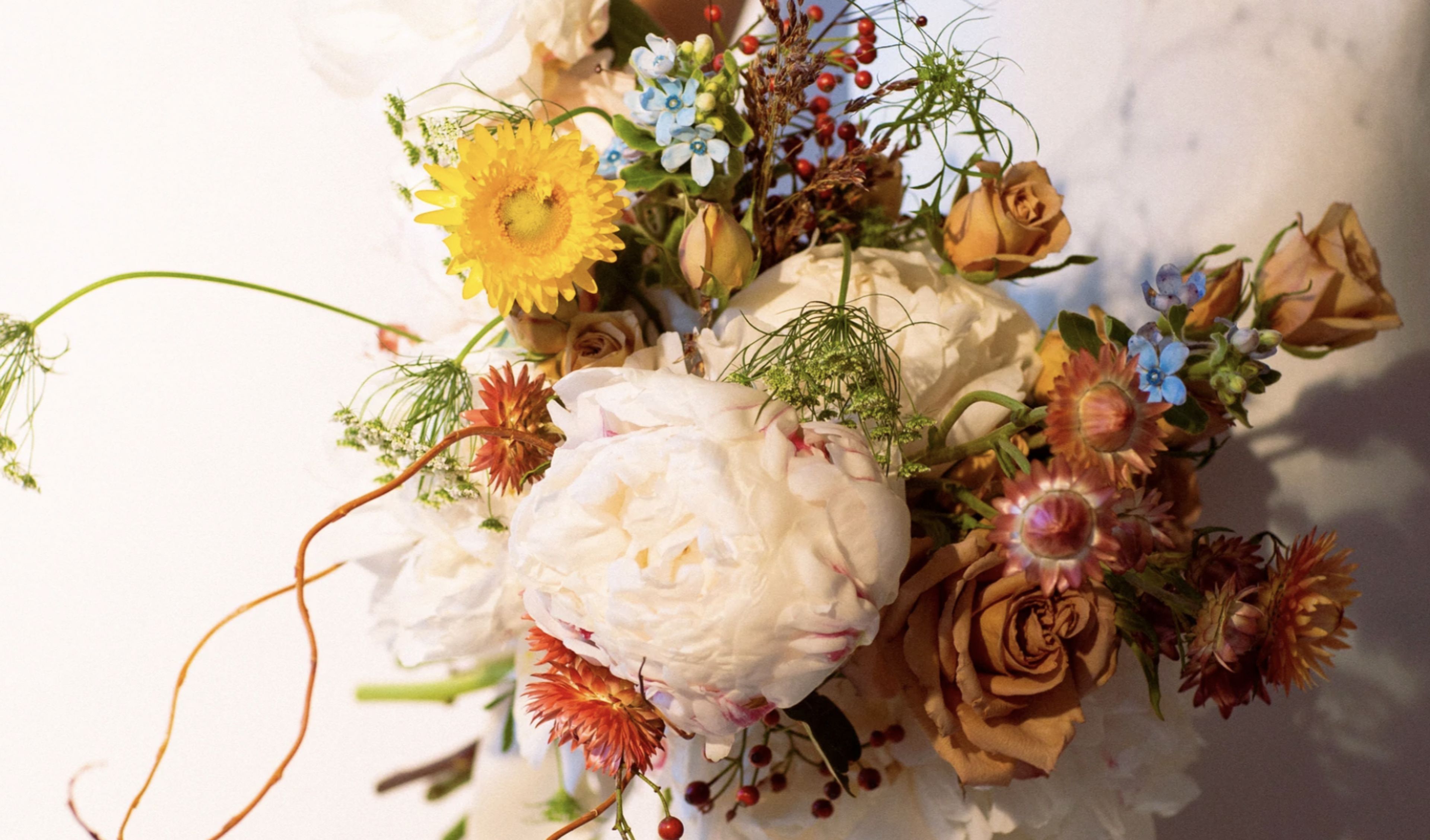 Cover photo of Ora La Casa de las Flores