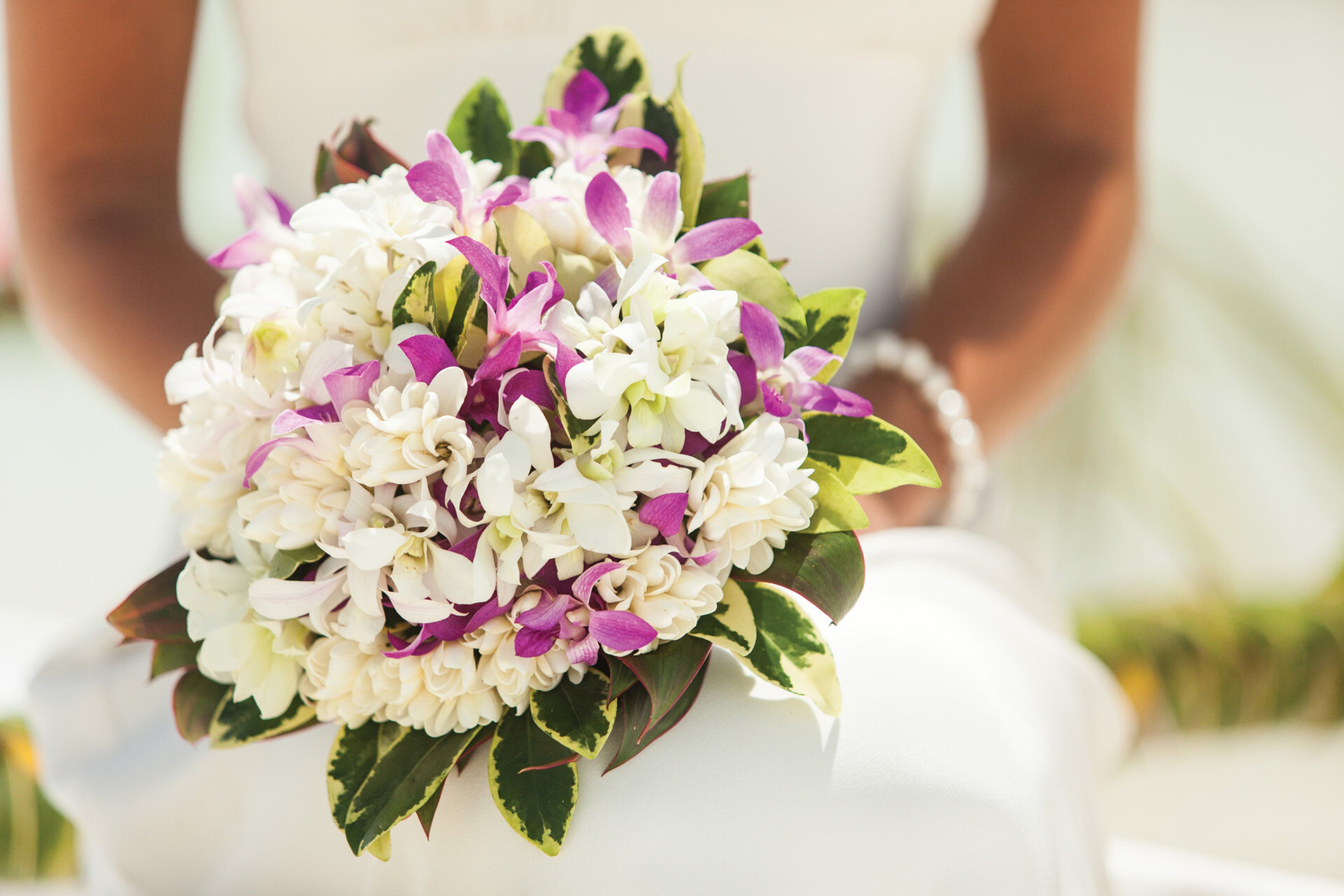 Cover photo of Four Seasons Resort Bora Bora