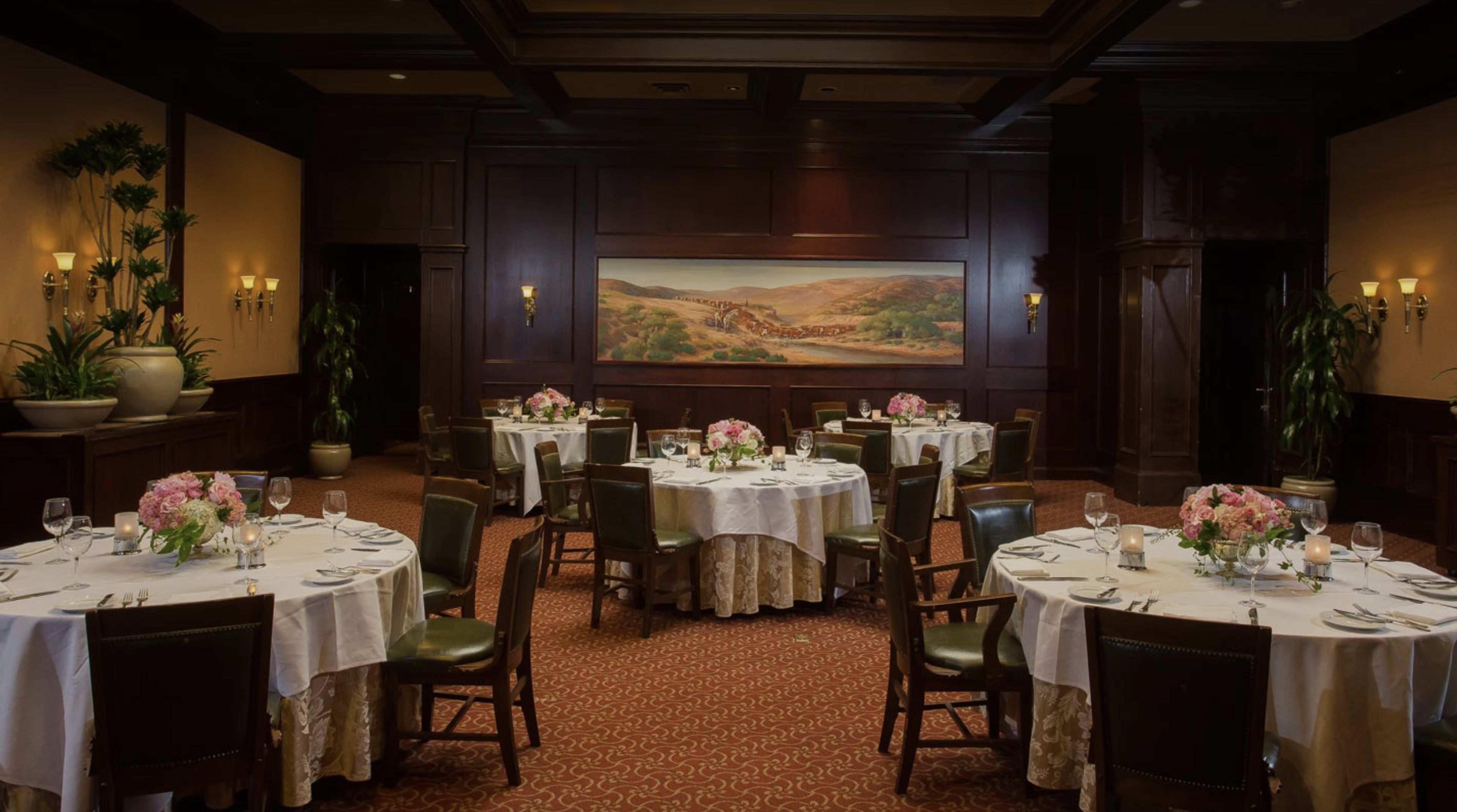 Cover photo of Harris'