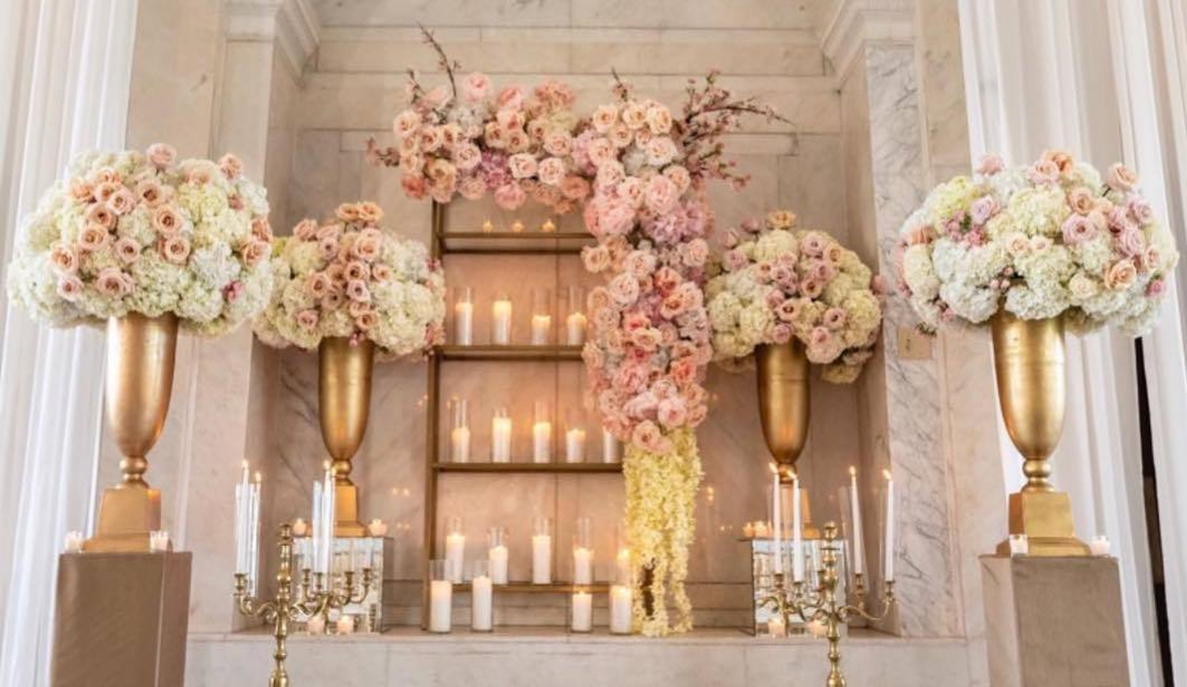 Cover photo of The Perfect Creation