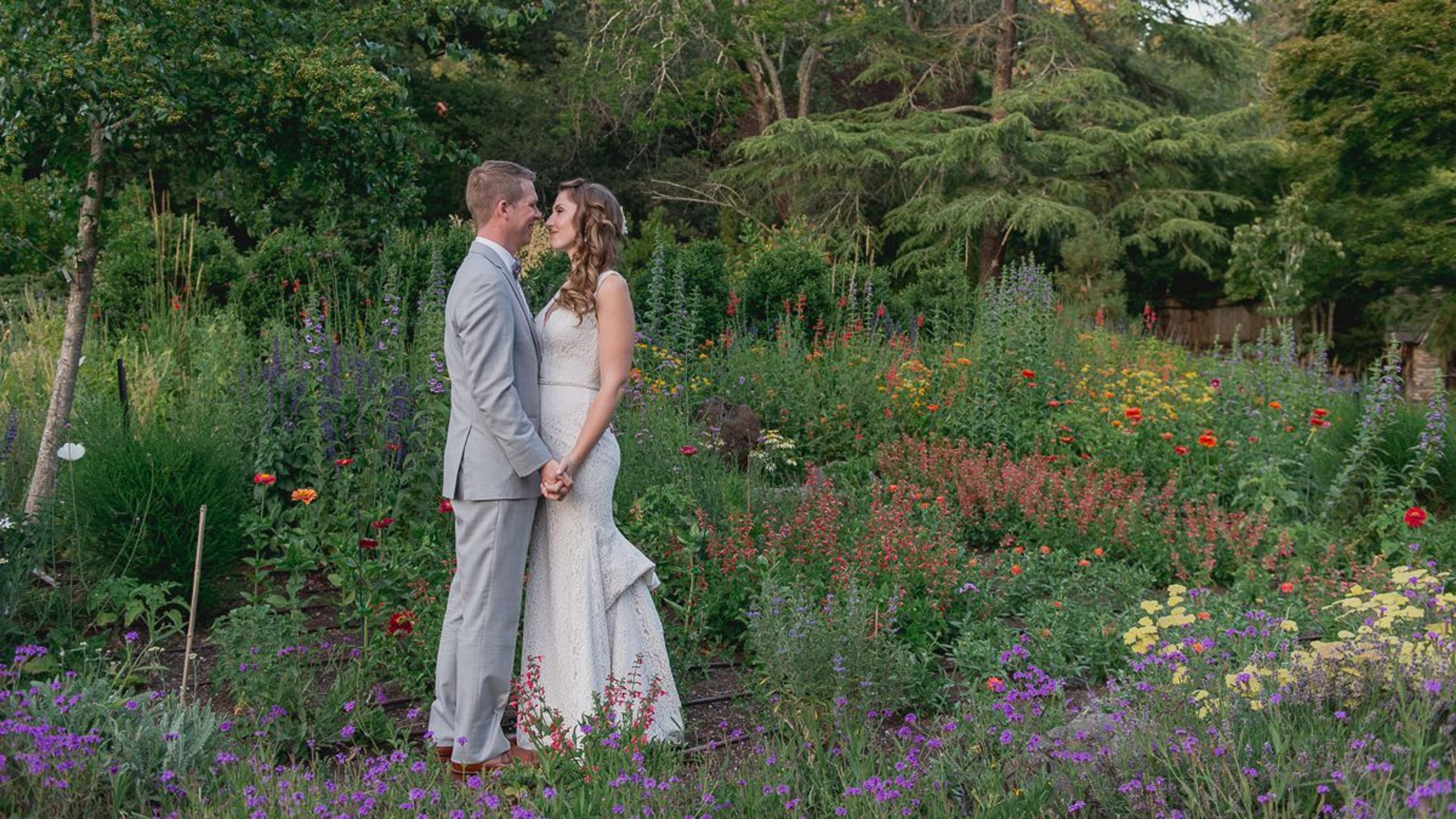 Cover photo of Marin Art and Garden Center