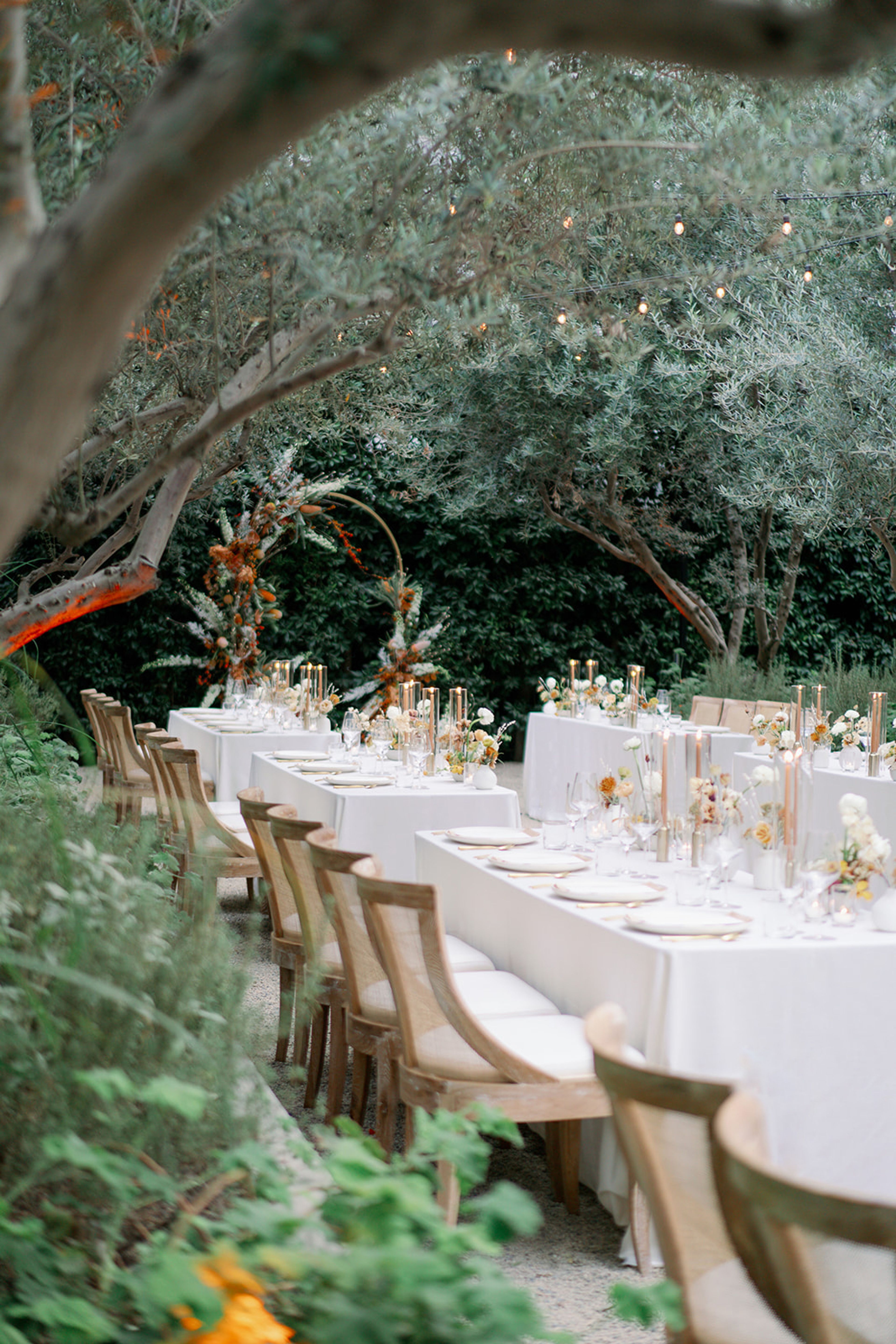 Cover photo of Summer Newman Events