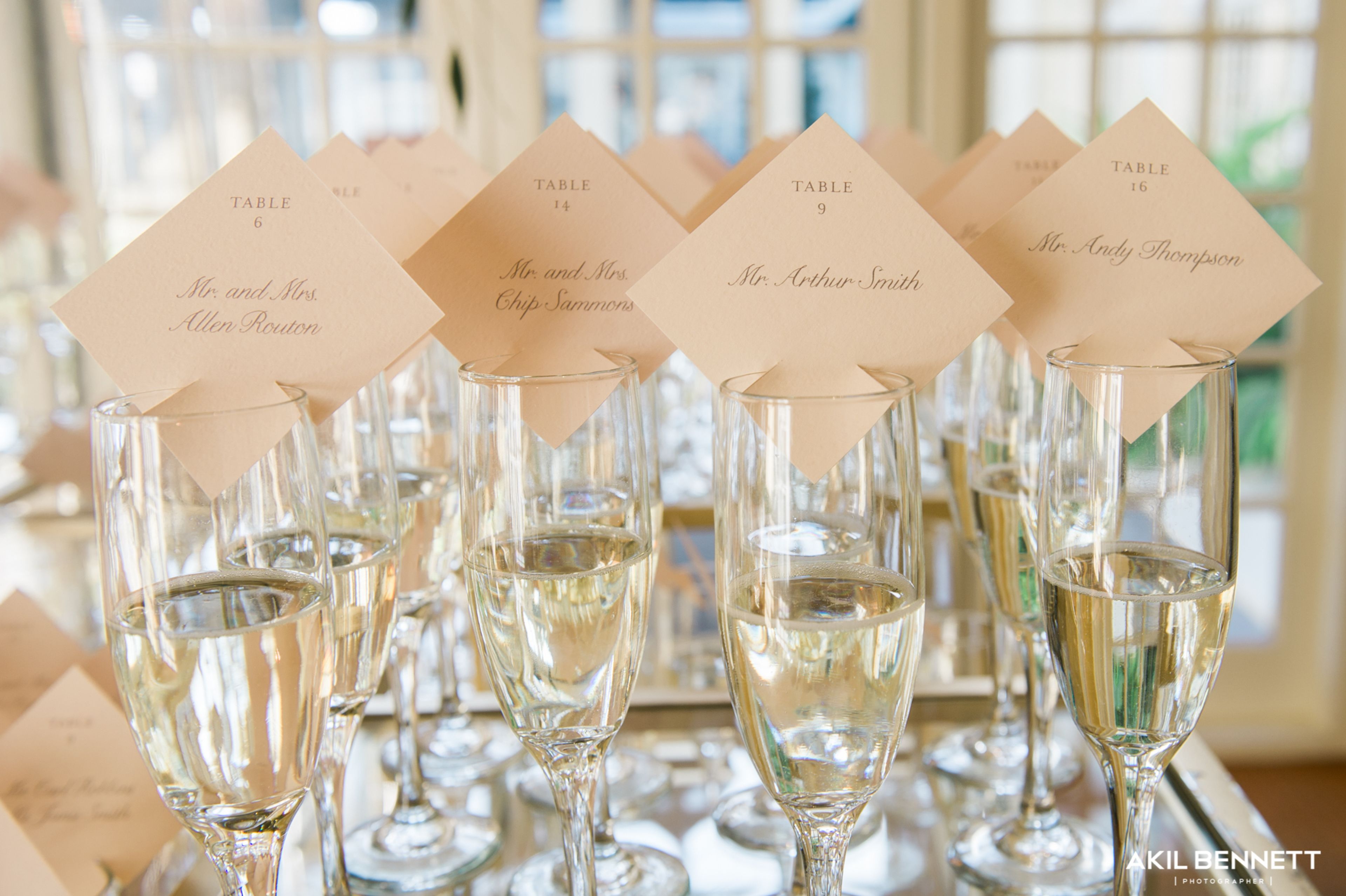 Cover photo of Katie & Co.