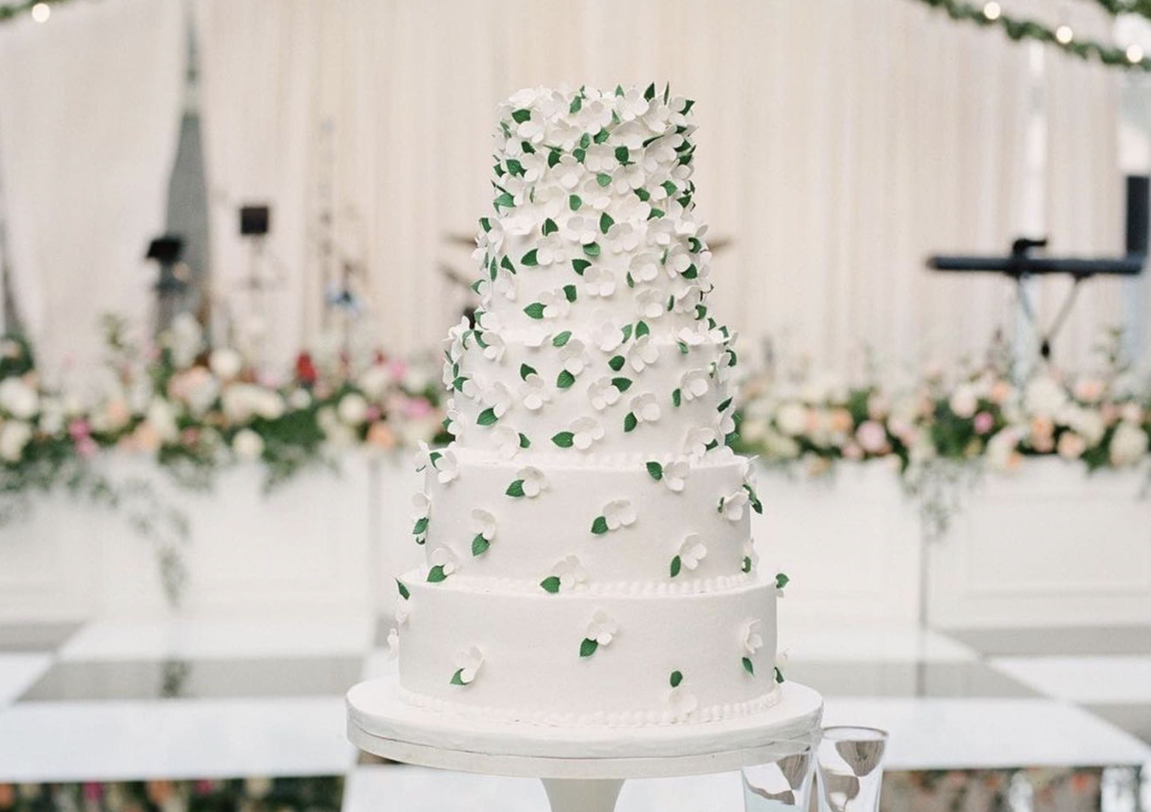 Cover photo of Who Made the Cake