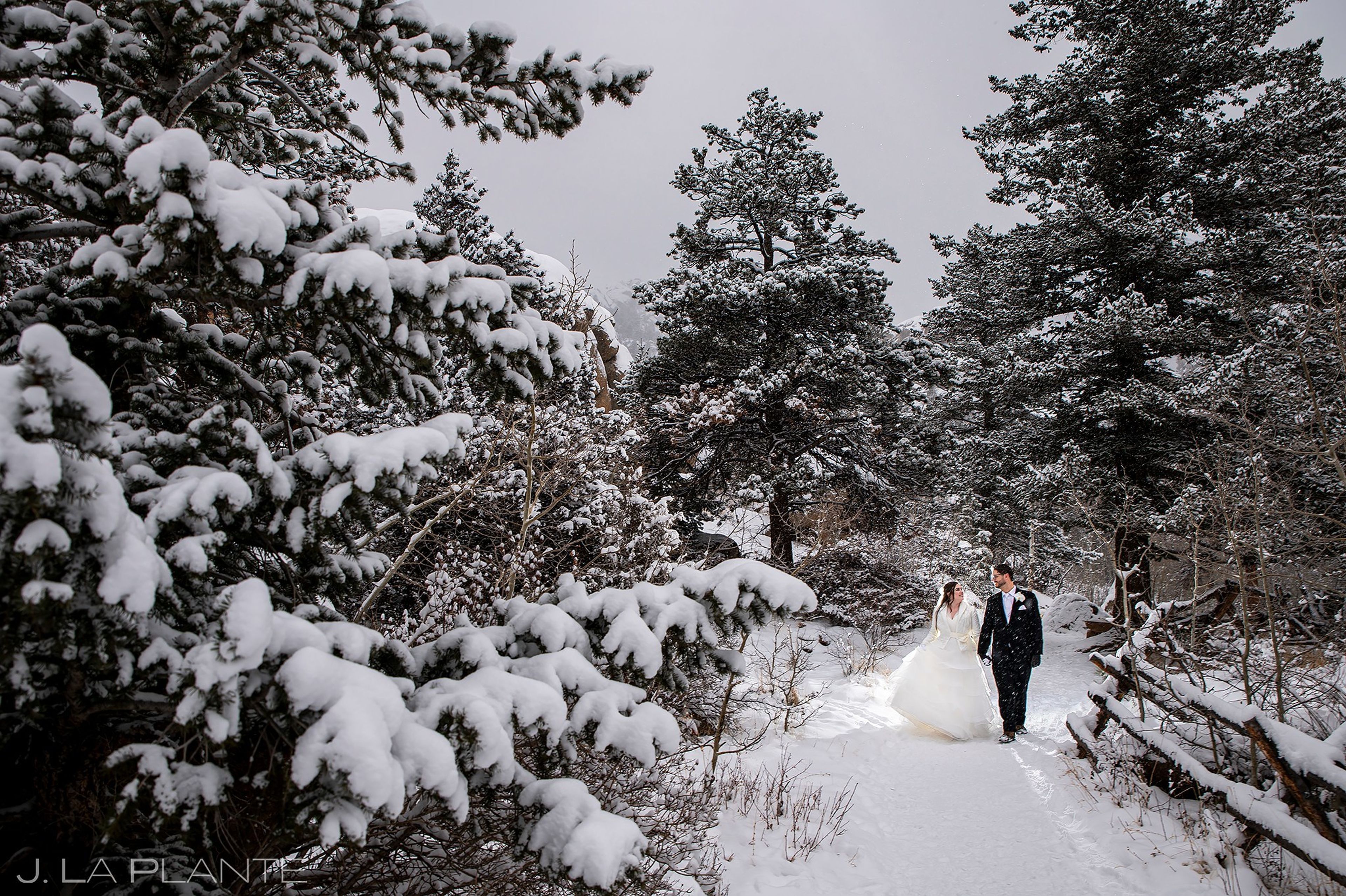 Cover photo of J. La Plante Photo