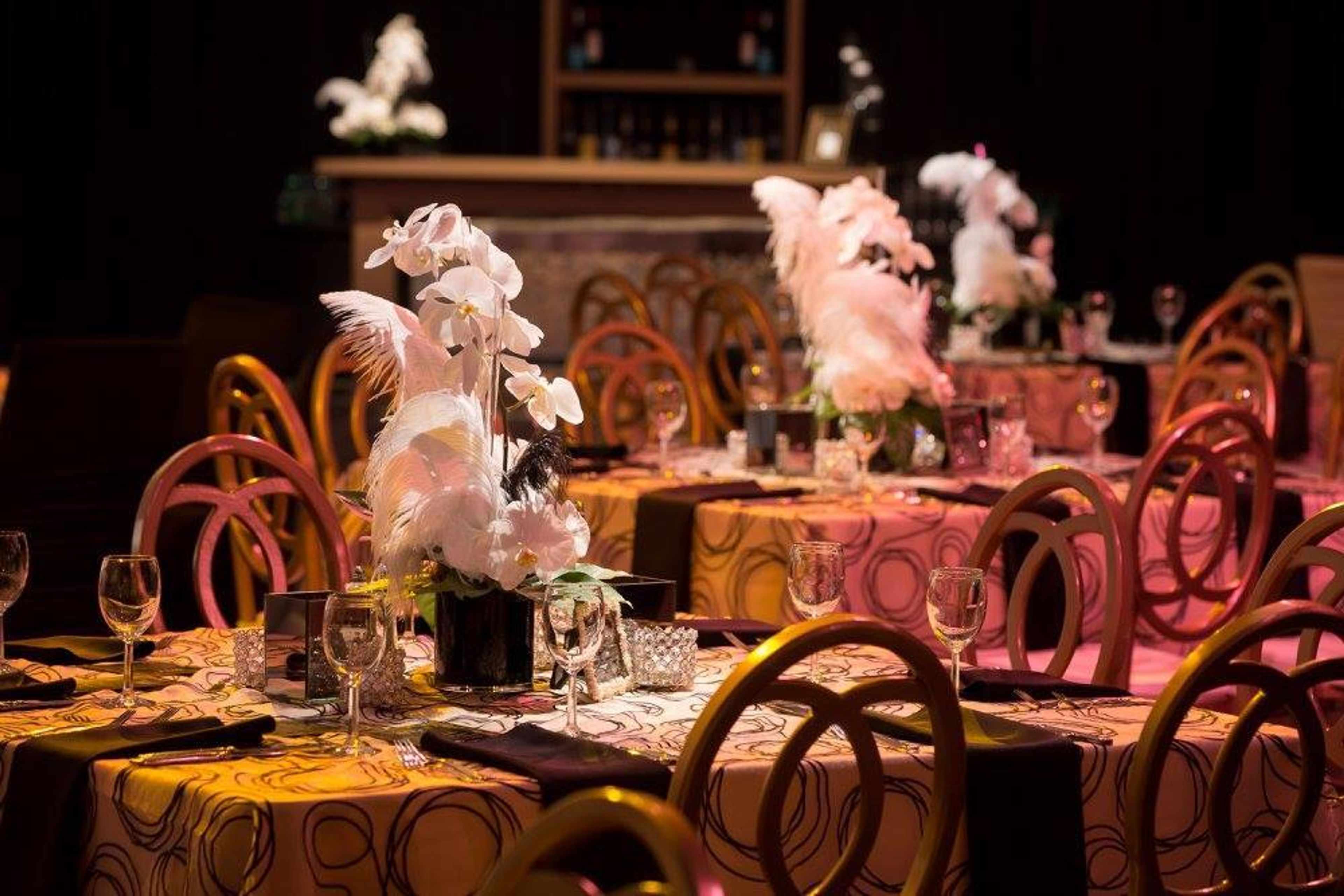 Cover photo of Operation Altitude