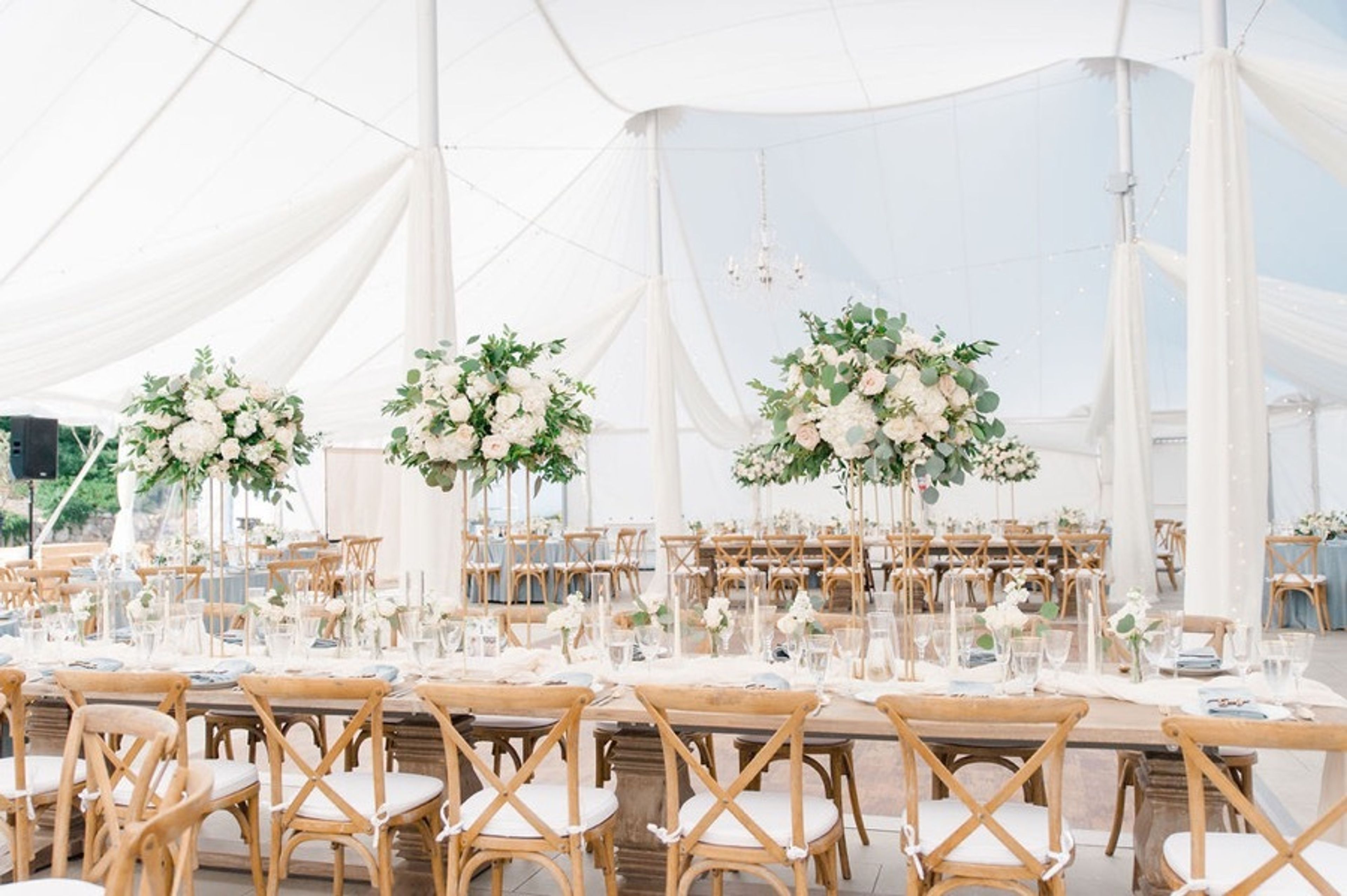 Cover photo of Dream Flowers