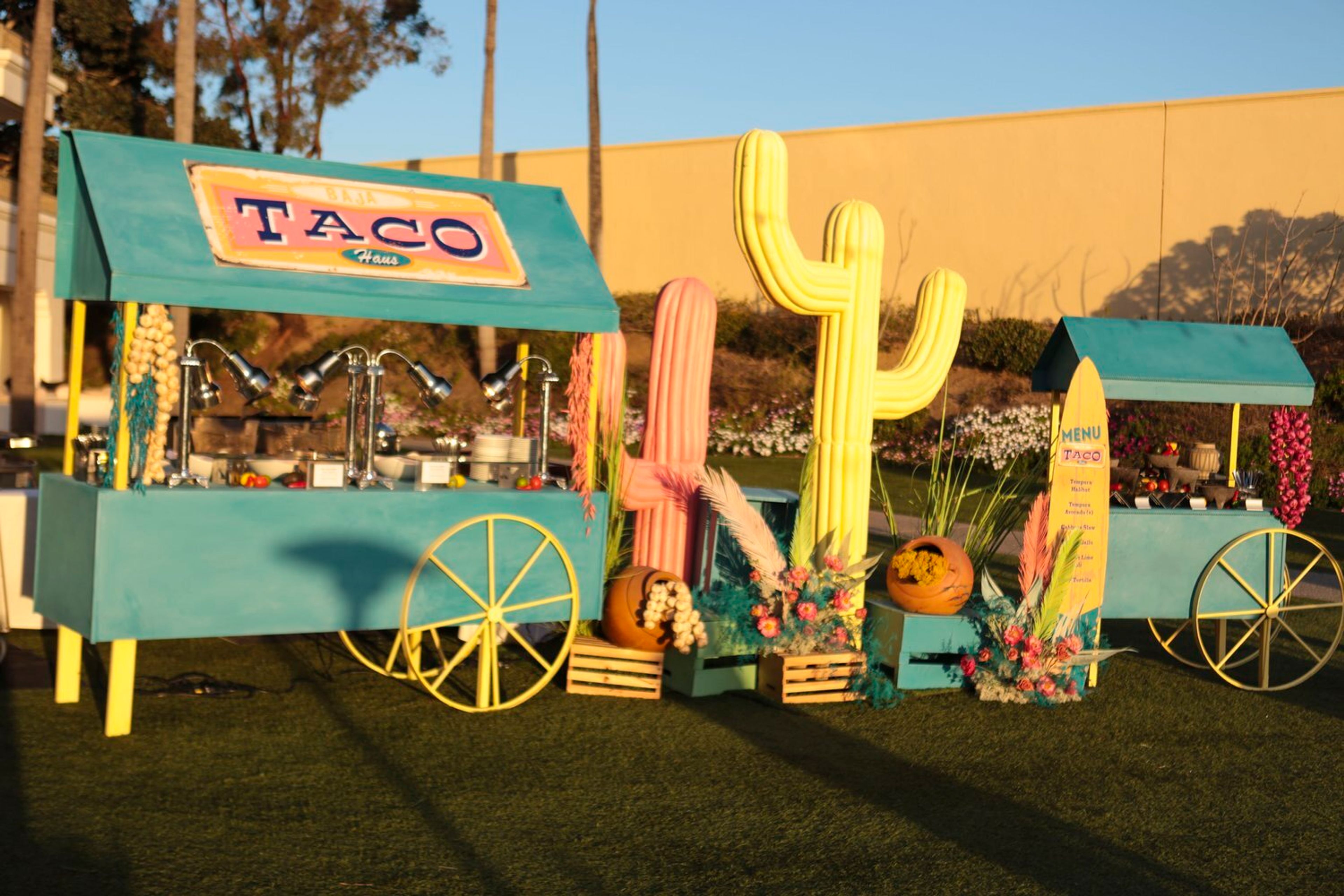 Cover photo of Amy Zaroff