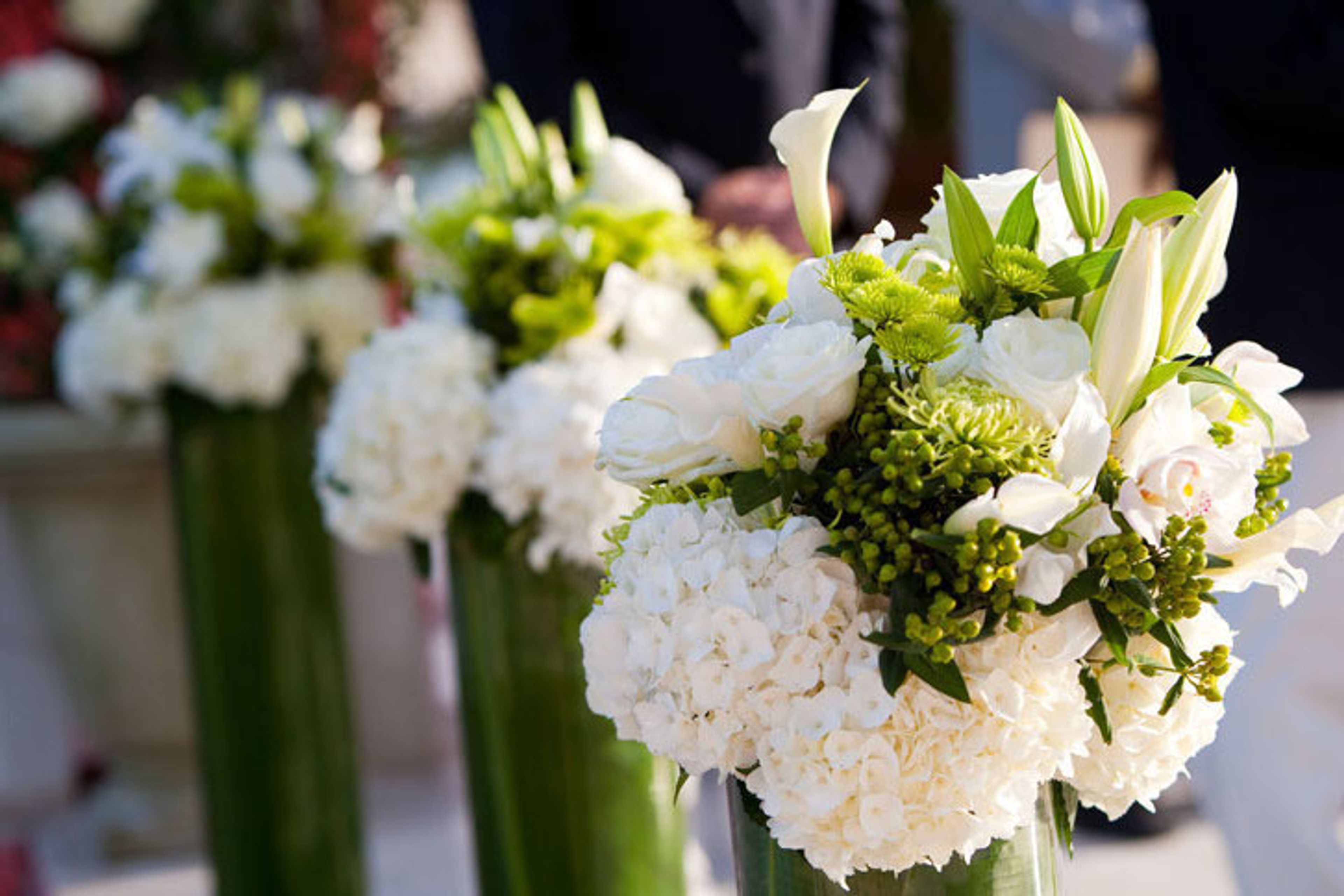 Cover photo of Flowers by EA