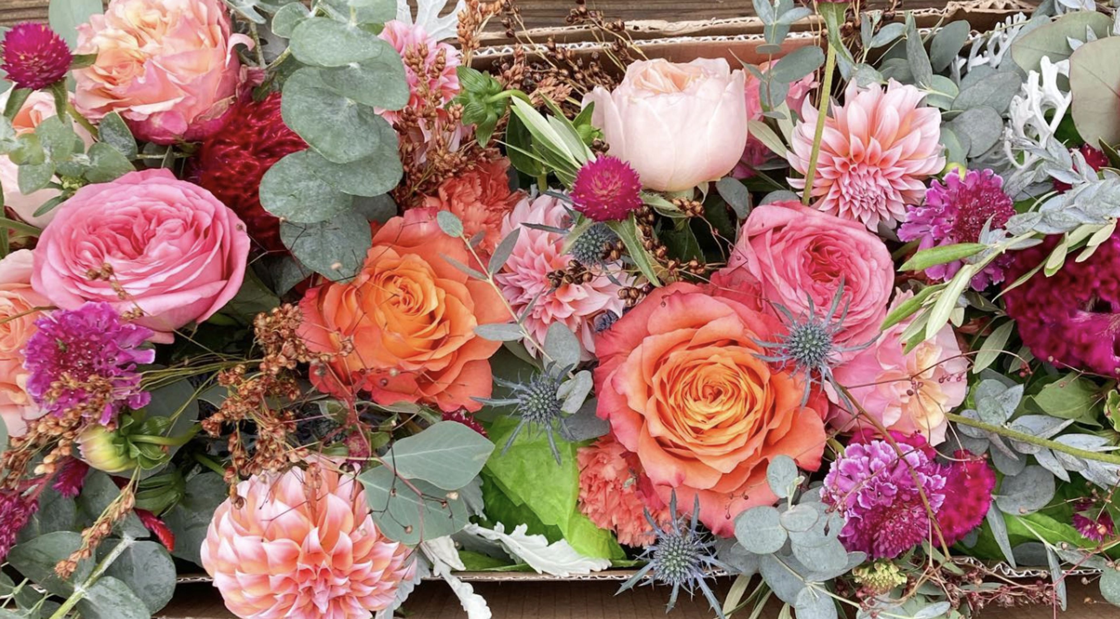 Cover photo of In Full Bloom