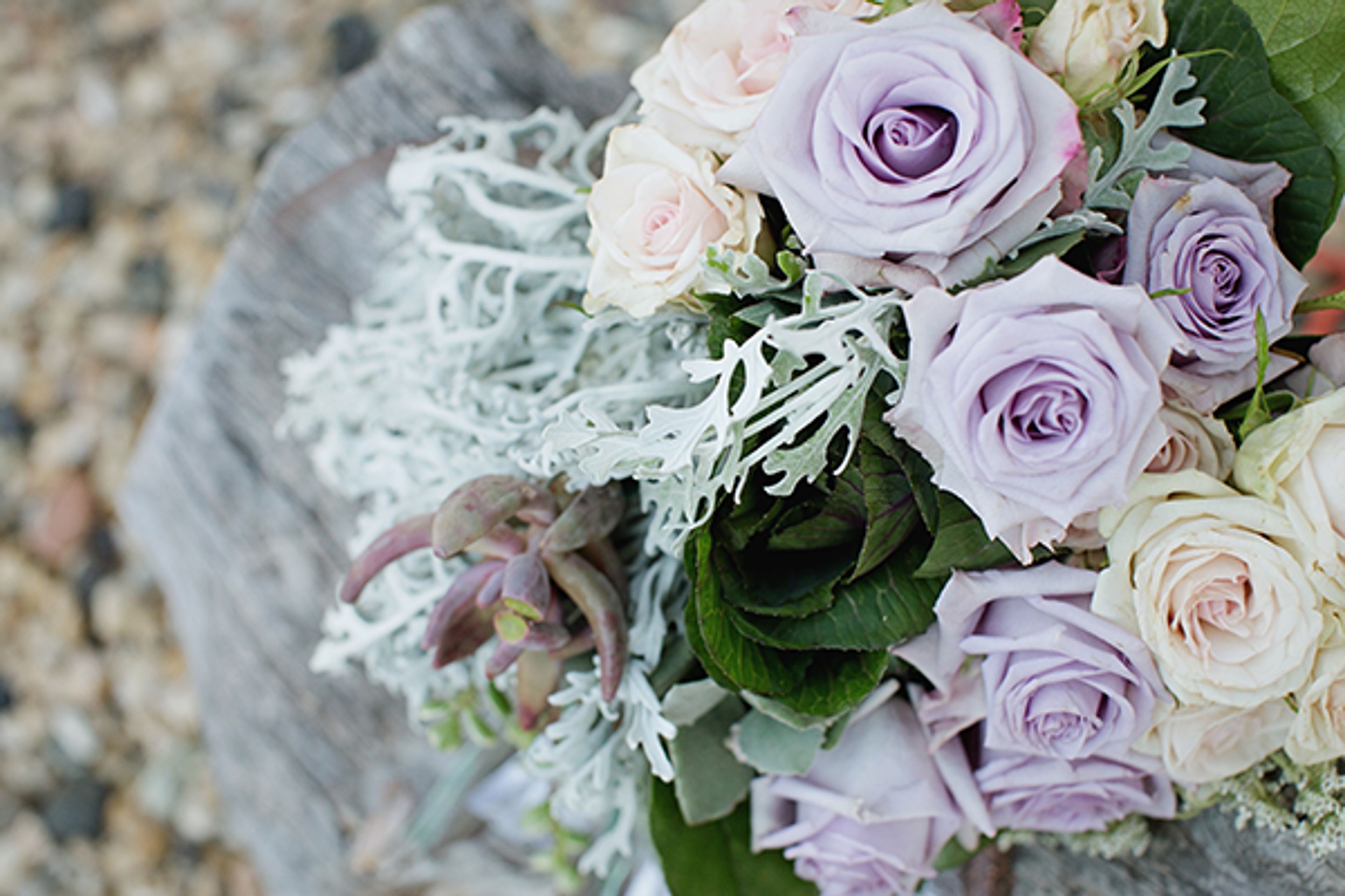 Cover photo of Vintage Florals