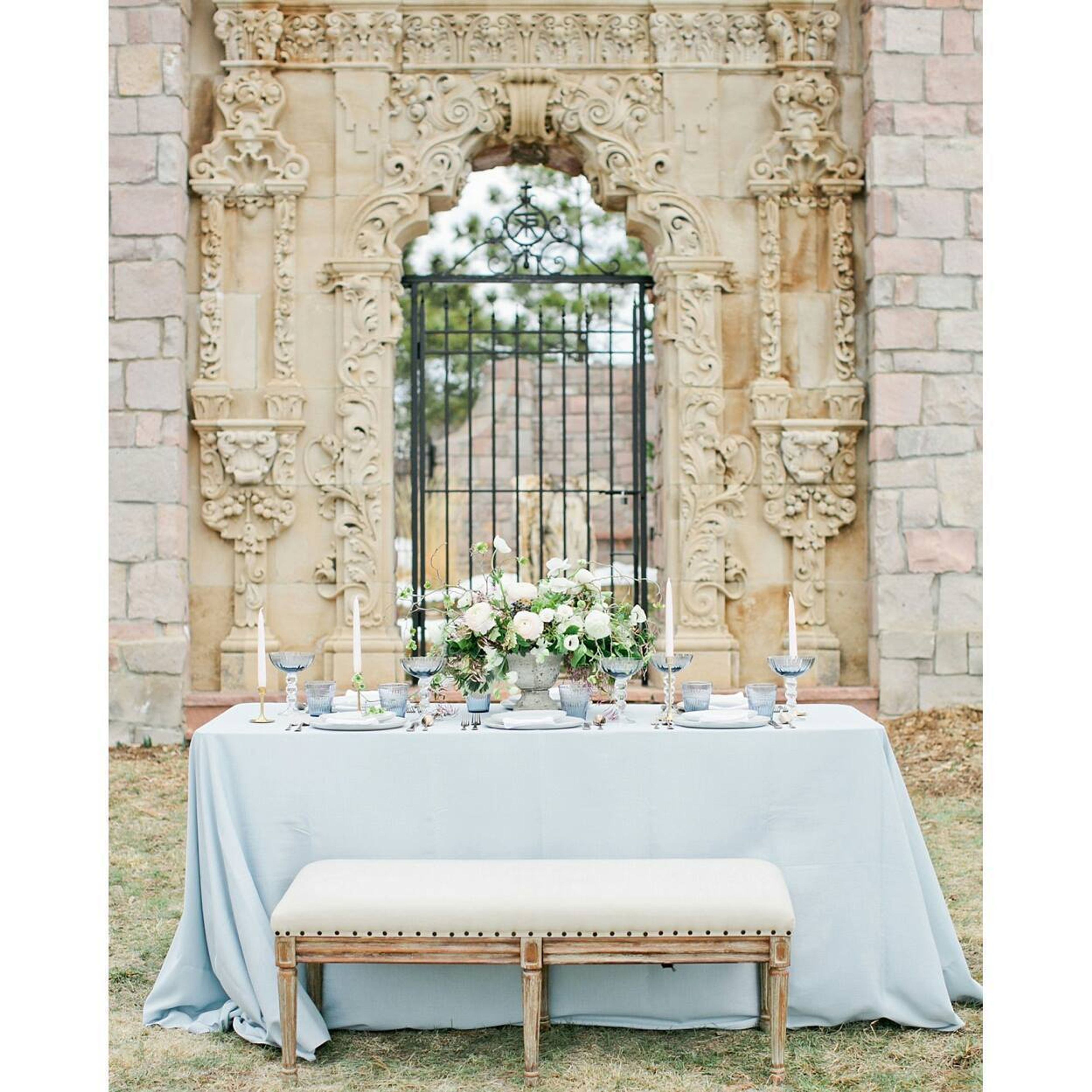 Cover photo of Bare Root Flora