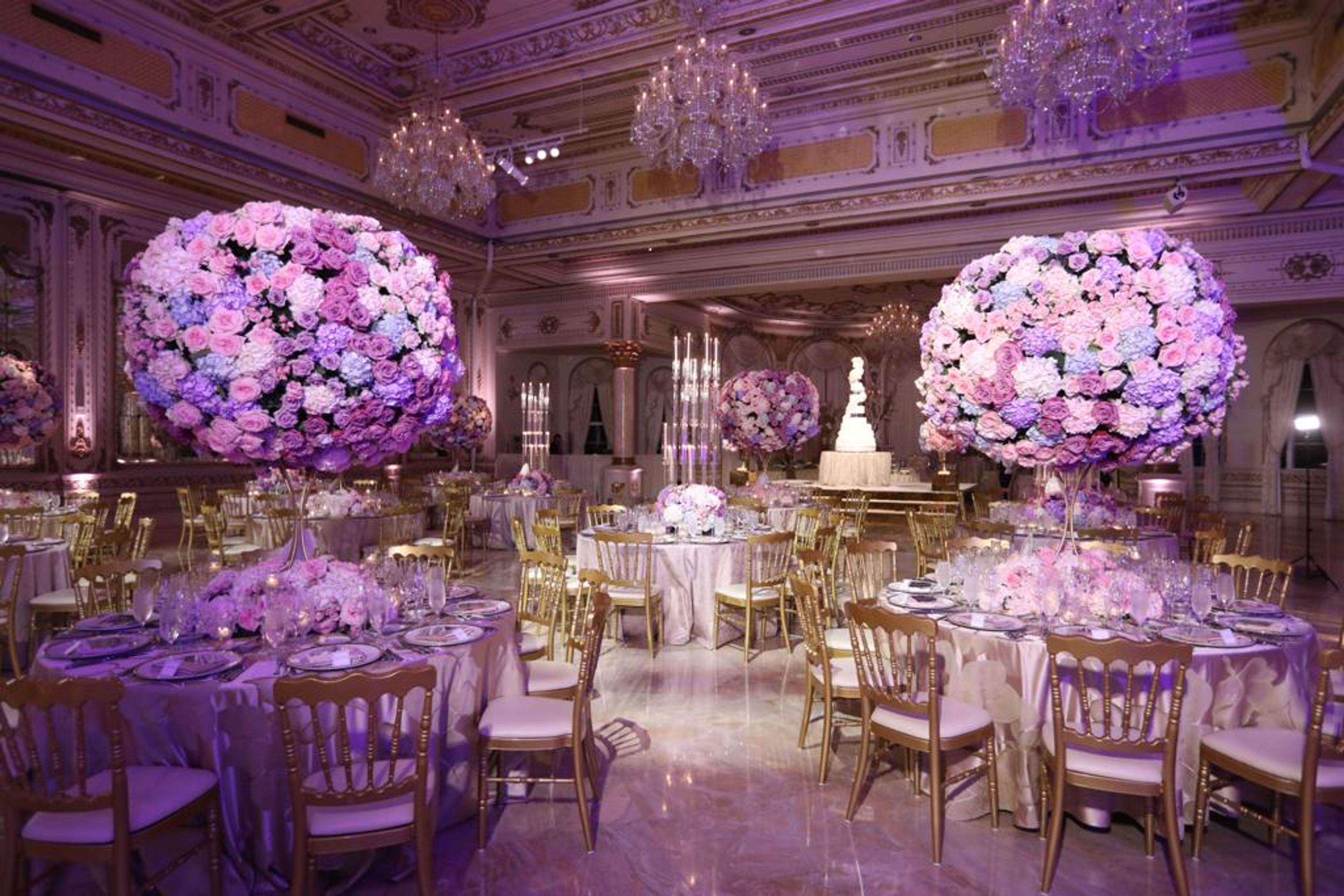 Cover photo of Marina Luri Events