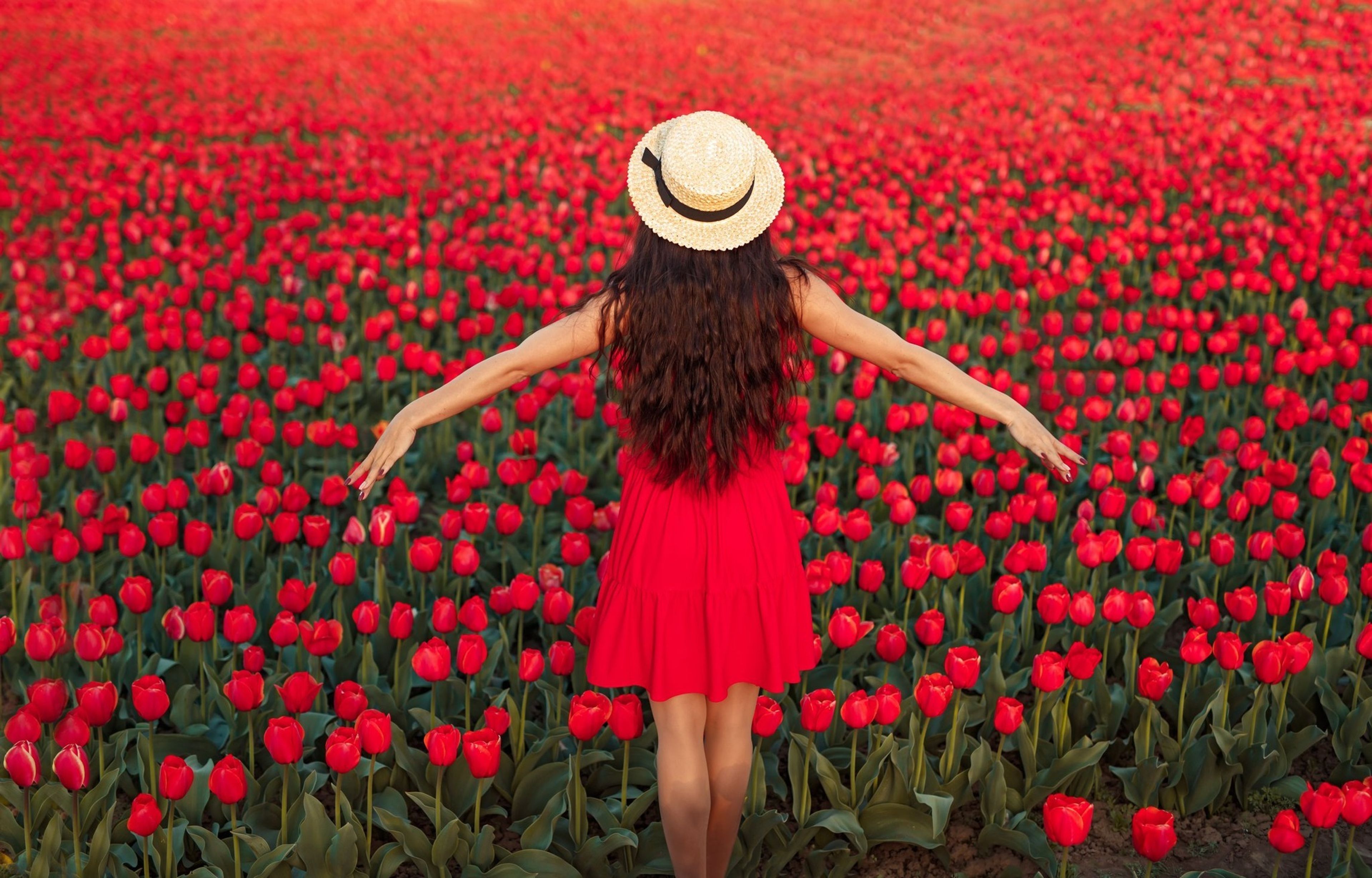 Cover photo of Kuipers Family Farm