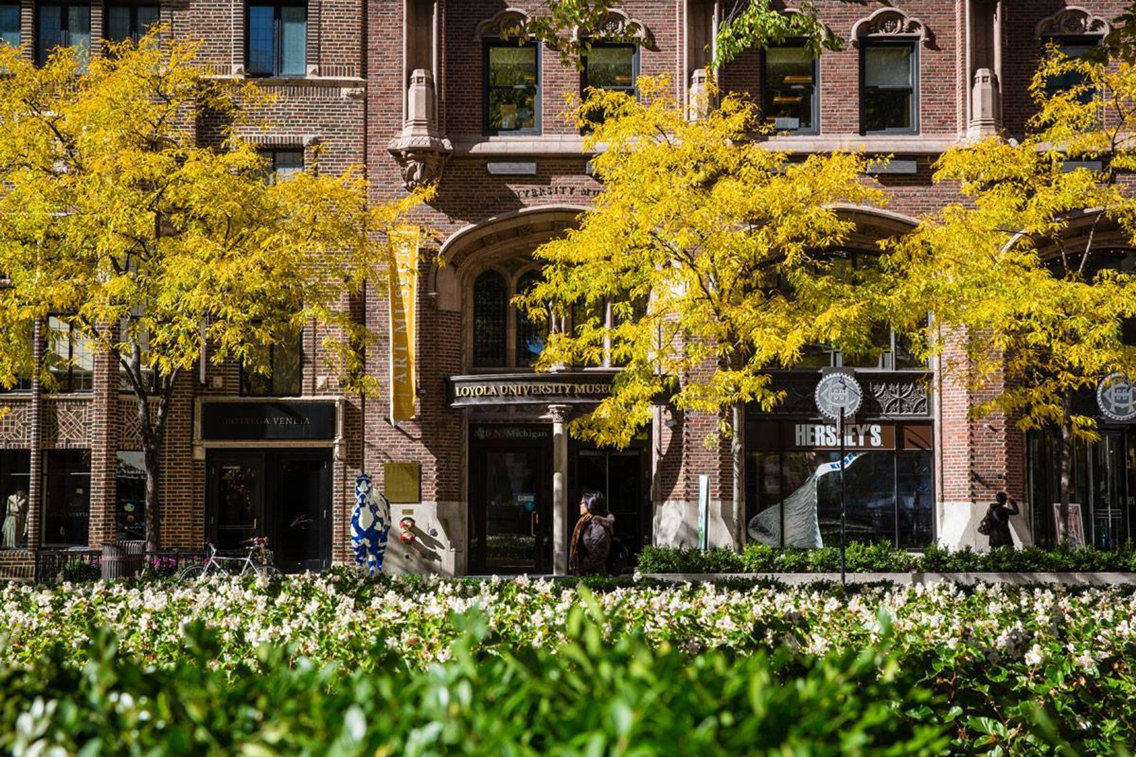 Cover photo of Loyola University Museum Of Art Luma