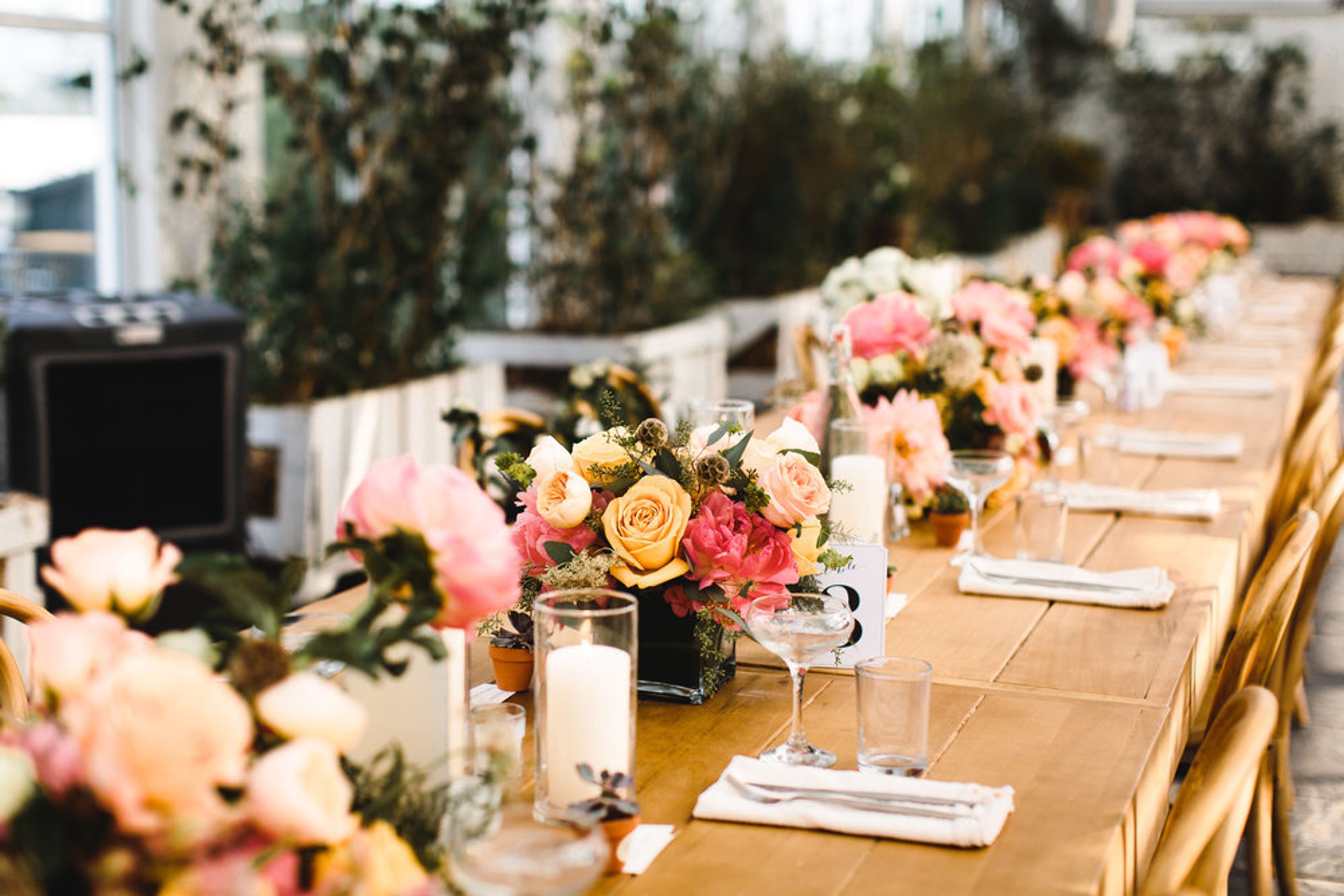 Cover photo of Verde Flowers