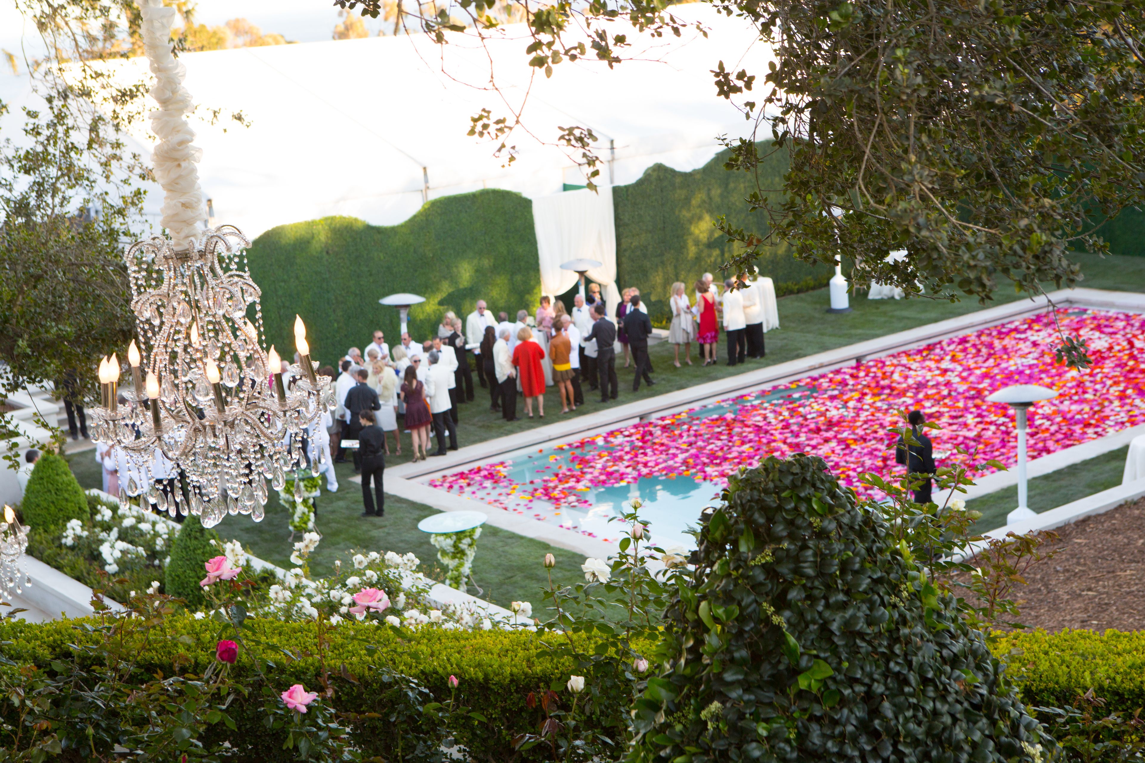 Cover photo of Sheri Whitko Photography