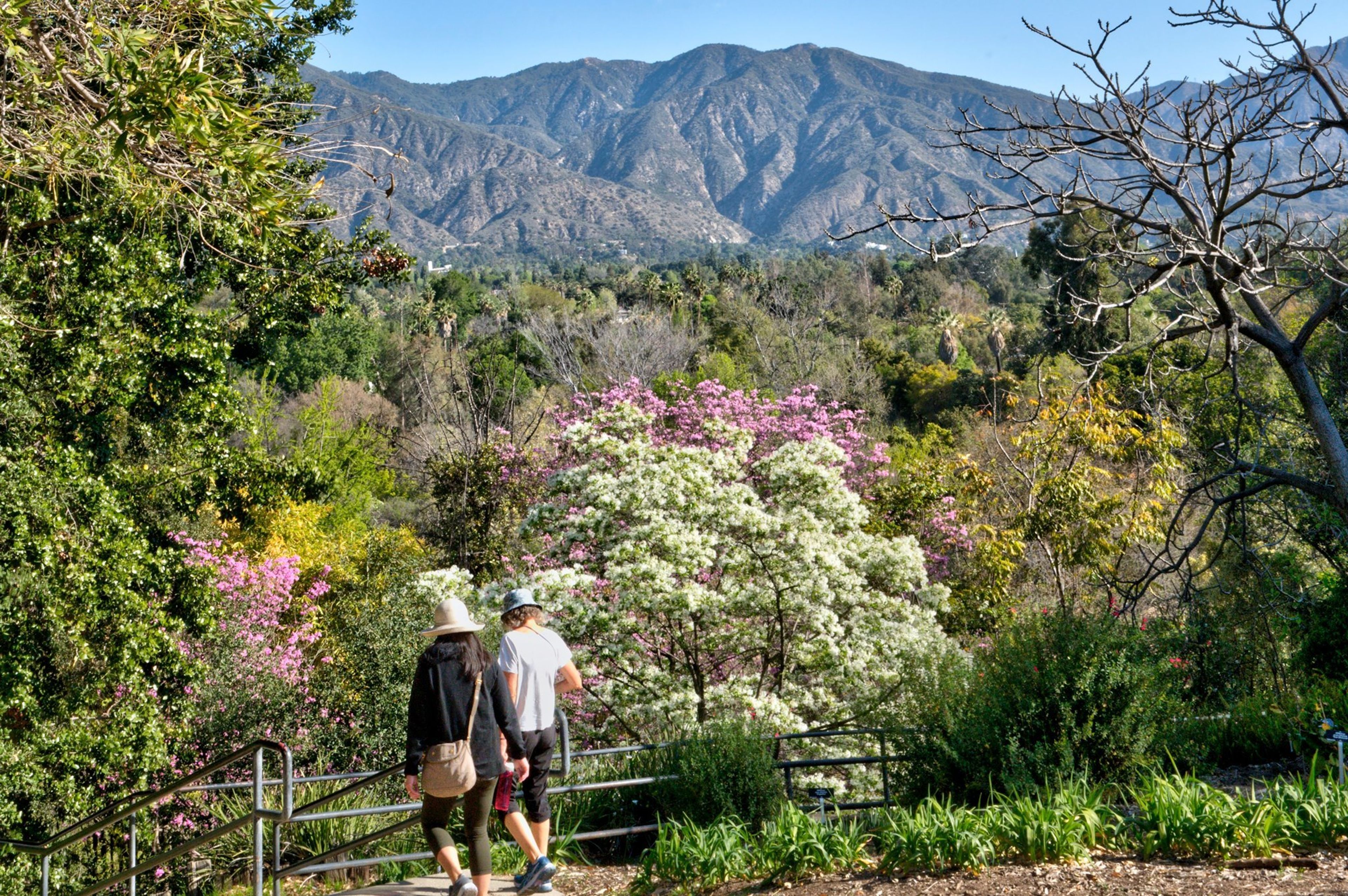 Cover photo of Los Angeles County Arboretum and Botanic Garden
