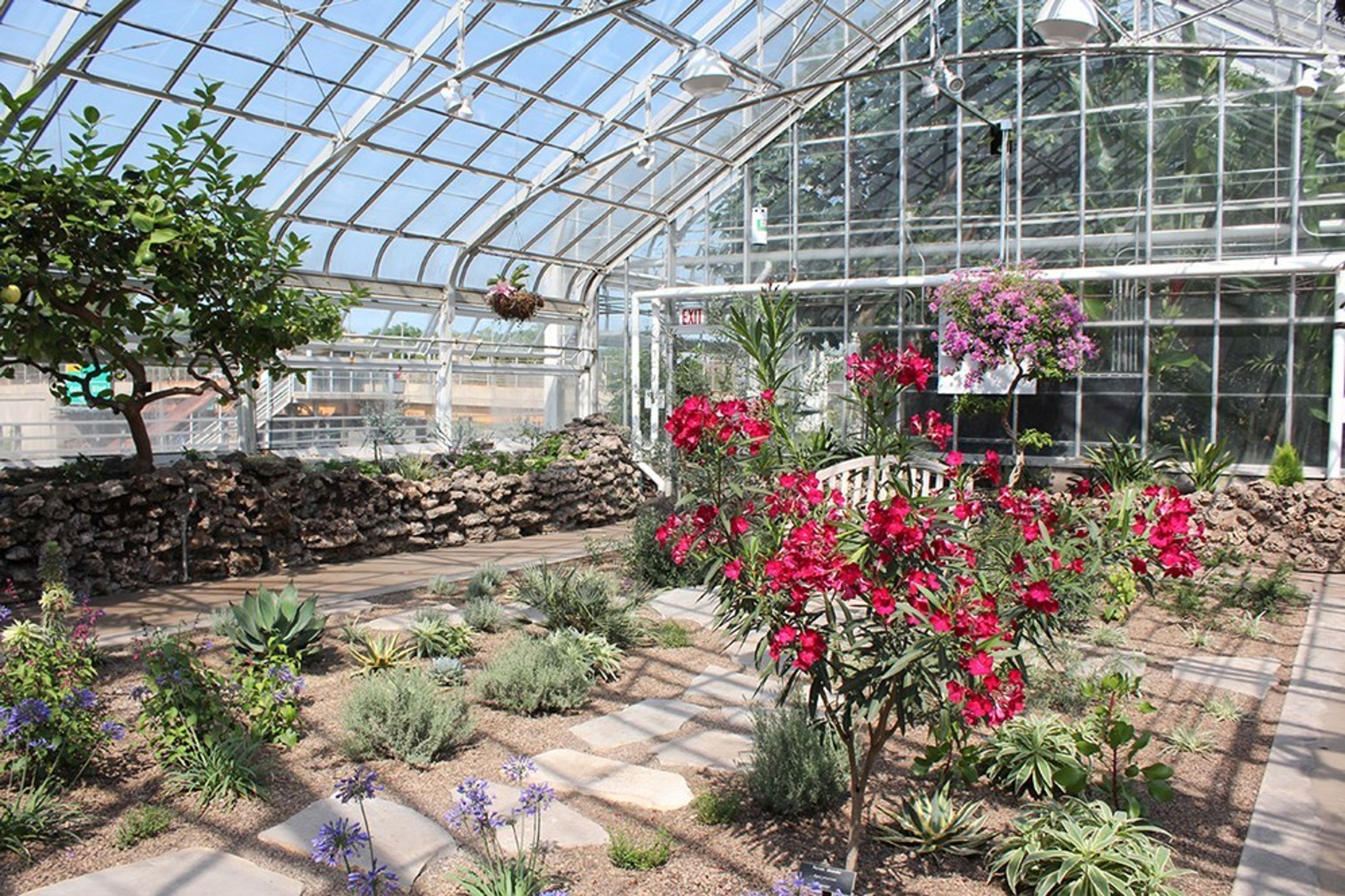 Cover photo of Oak Park Conservatory