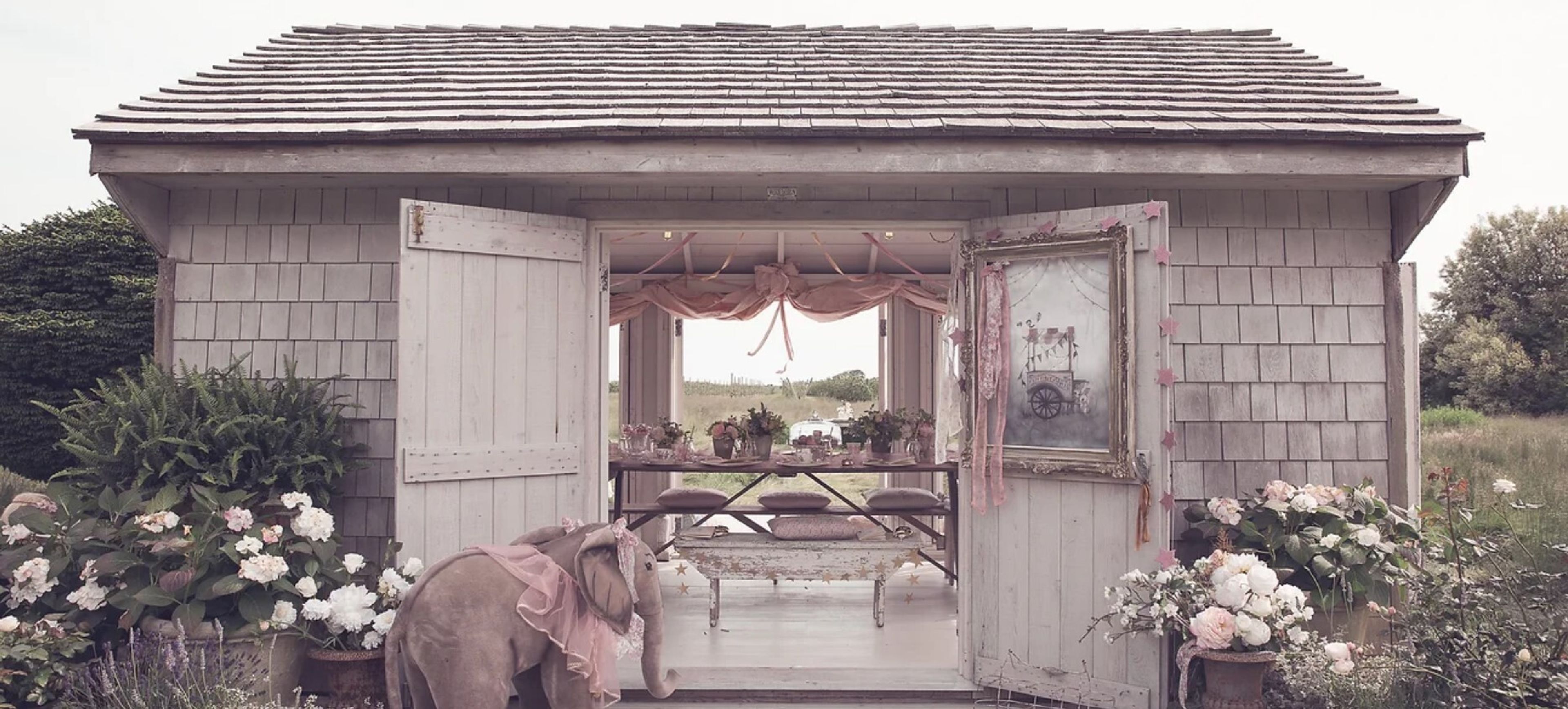 Cover photo of Clafoutis