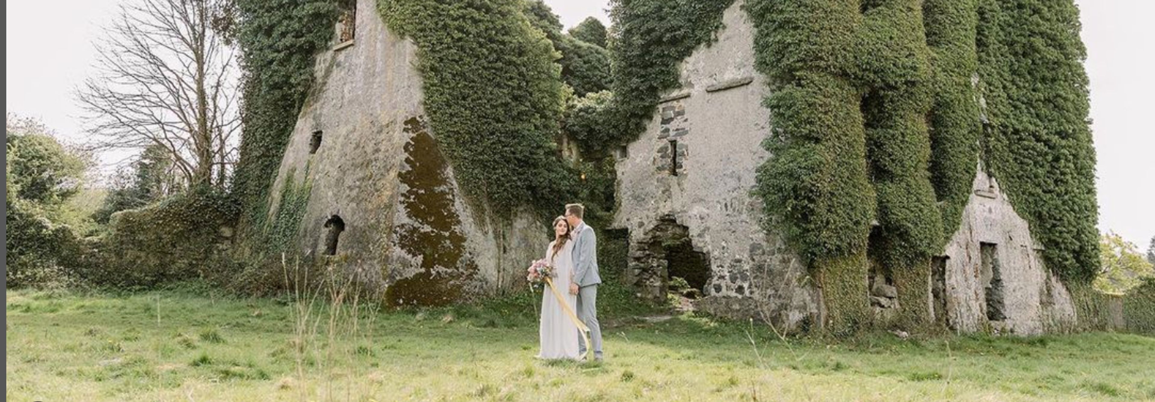 Cover photo of Willow and Ivy Events