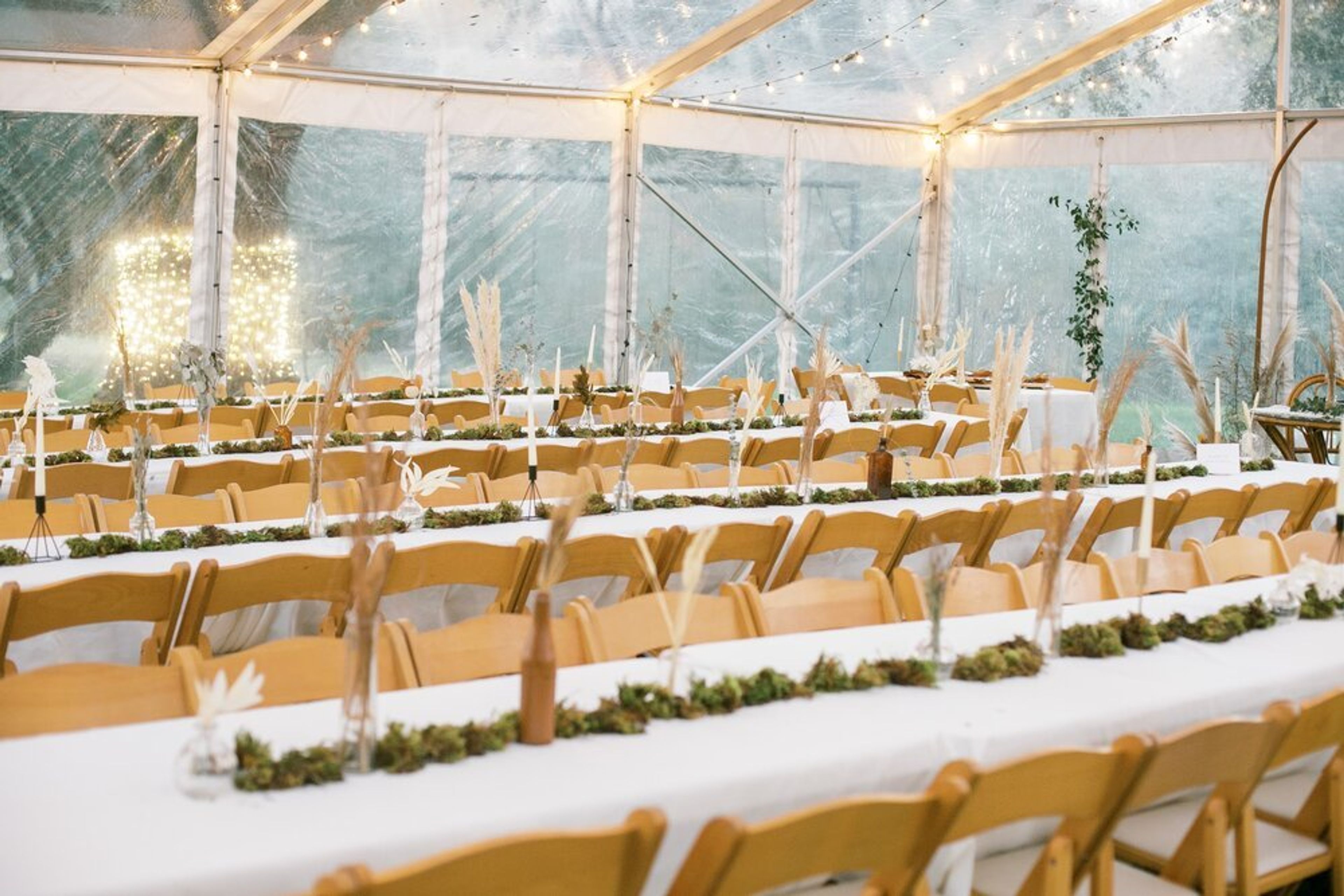 Cover photo of The House of Honor