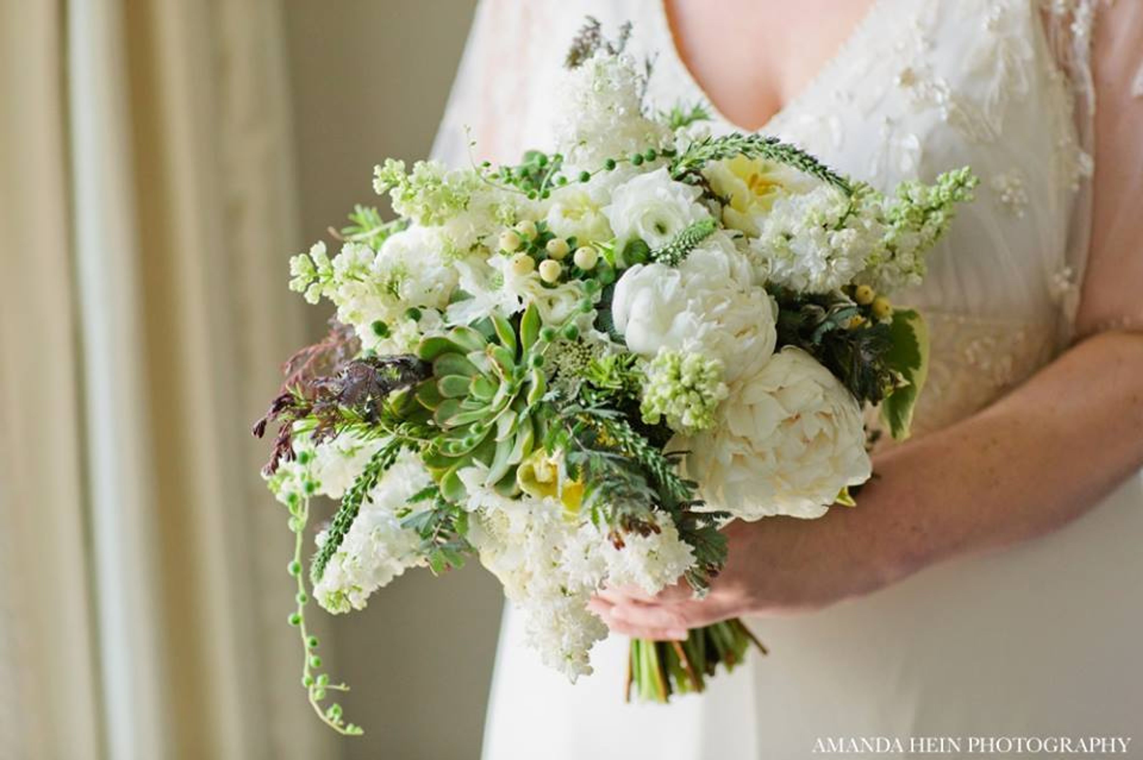 Cover photo of Stems