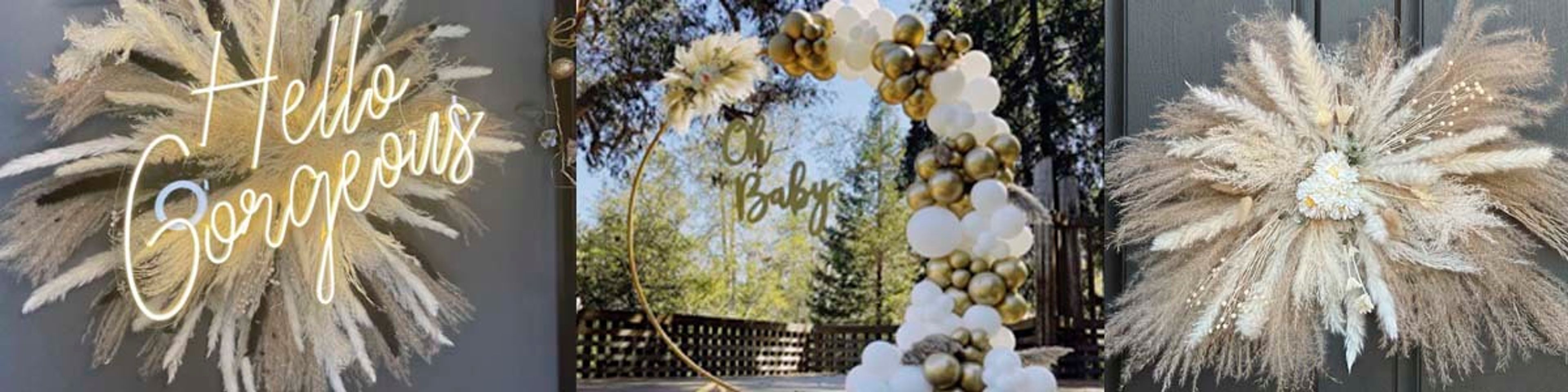 Cover photo of Pampa Party